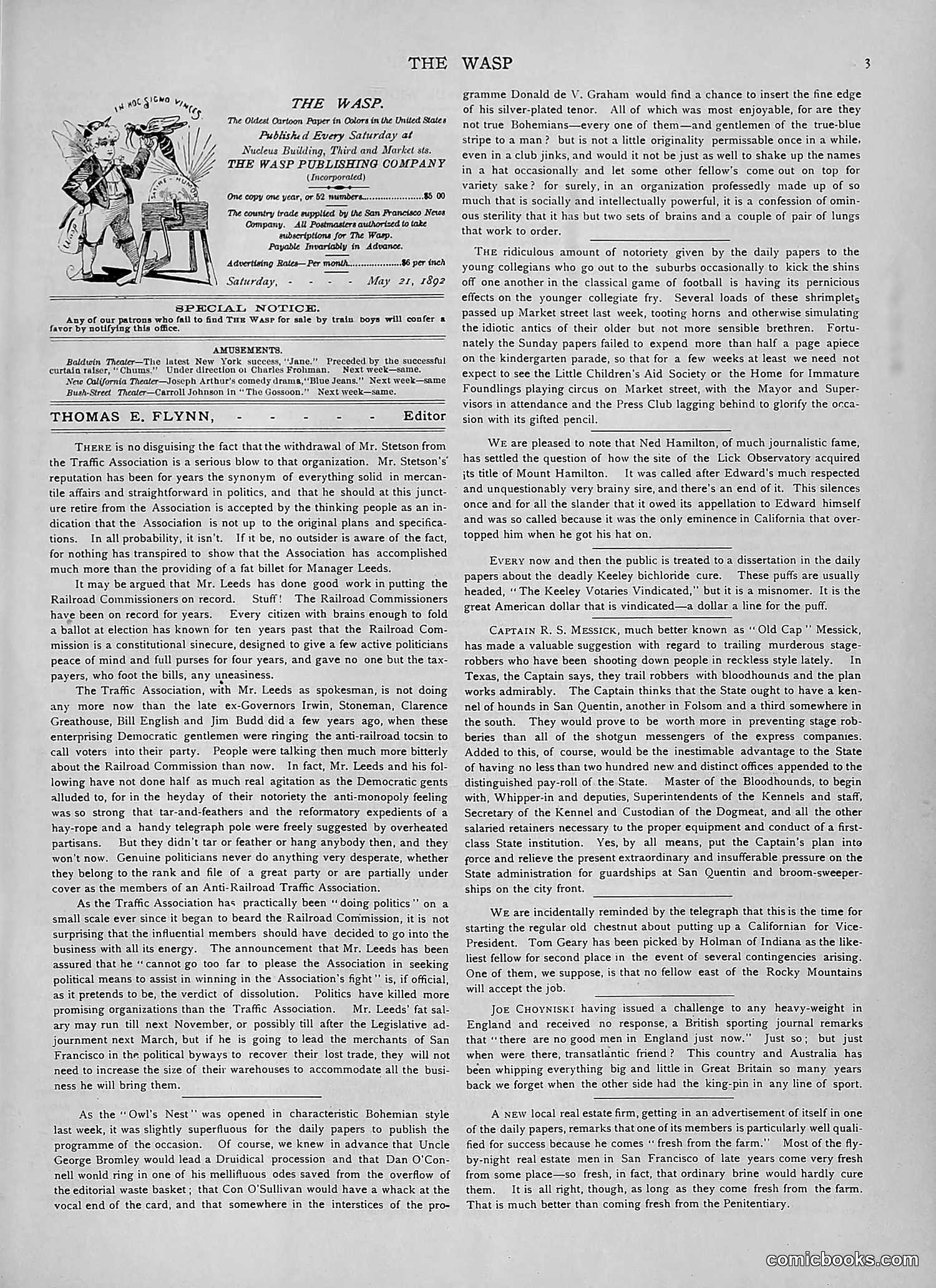 The Wasp — 1892 — page 418 of 542