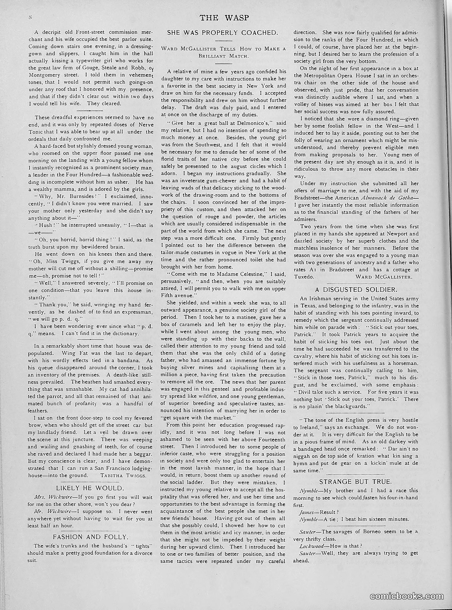 The Wasp — 1892 — page 423 of 542