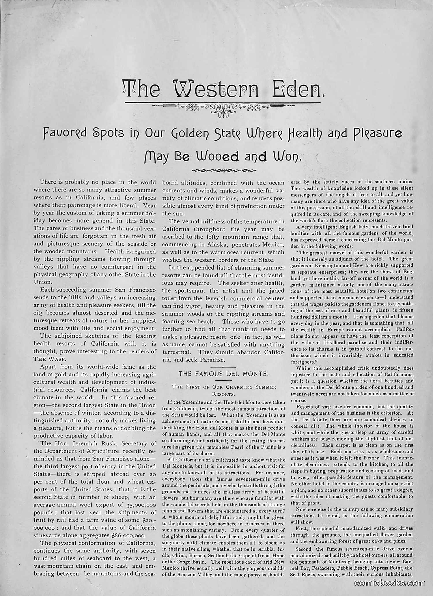 The Wasp — 1892 — page 428 of 542