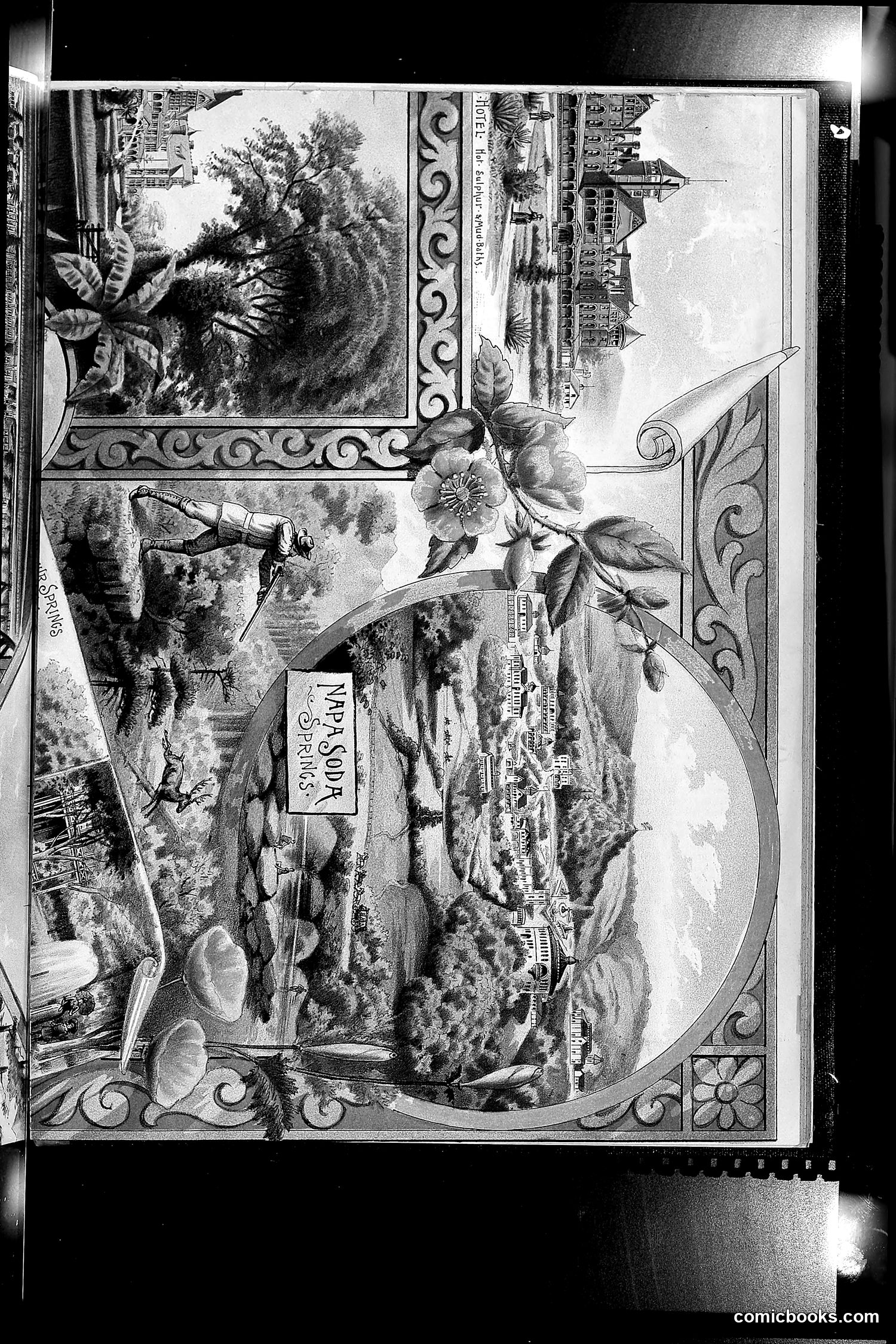 The Wasp — 1892 — page 430 of 542