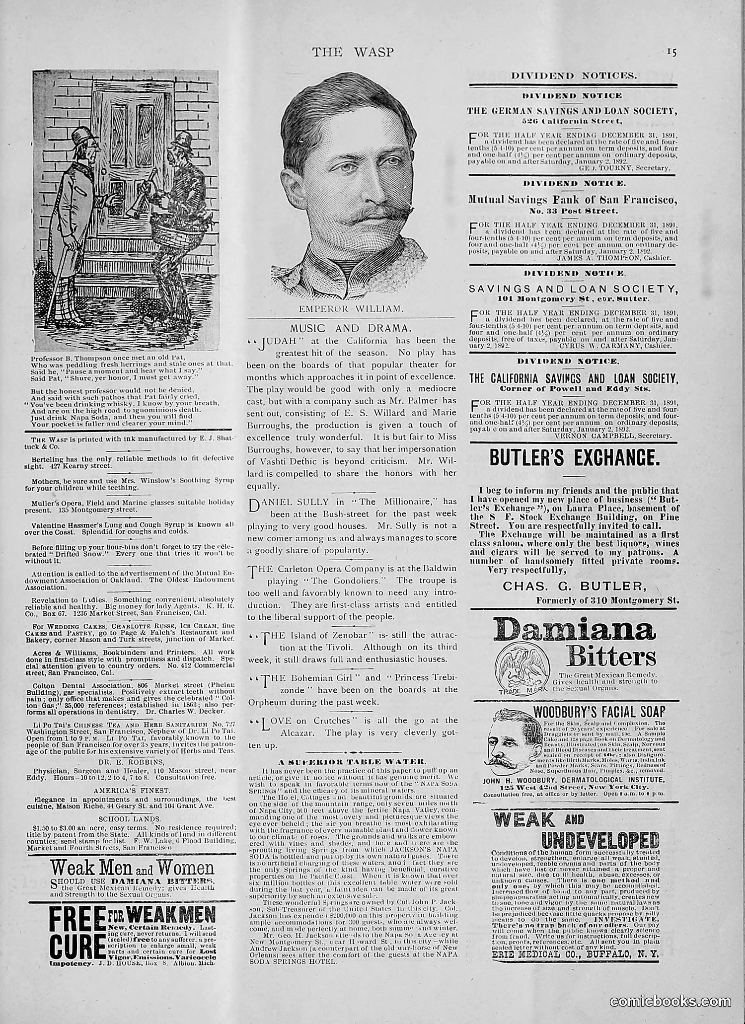The Wasp — 1892 — page 44 of 542