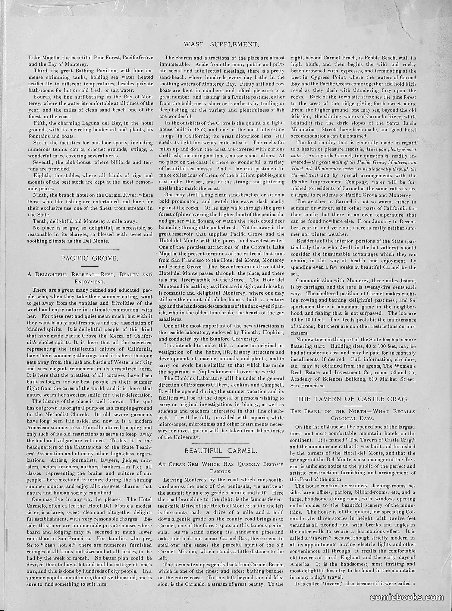 The Wasp — 1892 — page 431 of 542