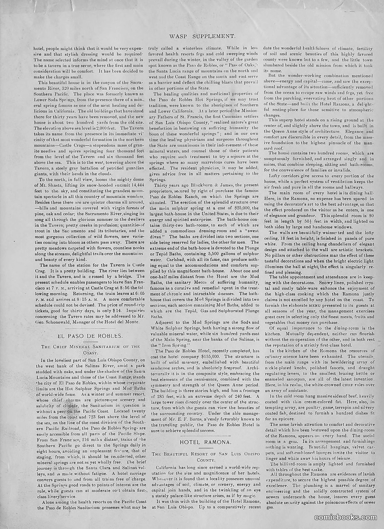The Wasp — 1892 — page 432 of 542