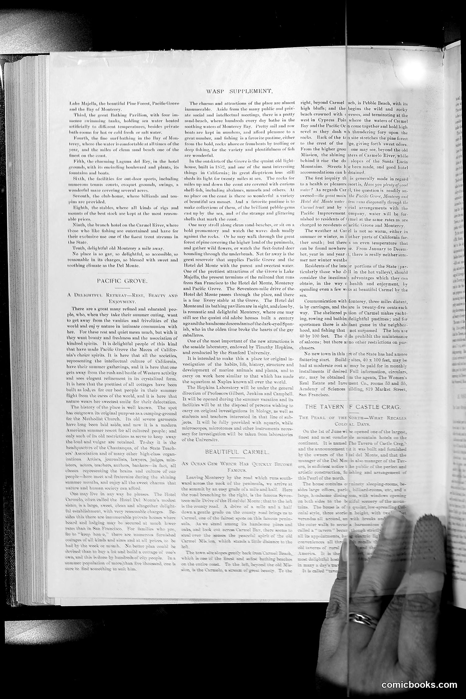 The Wasp — 1892 — page 433 of 542