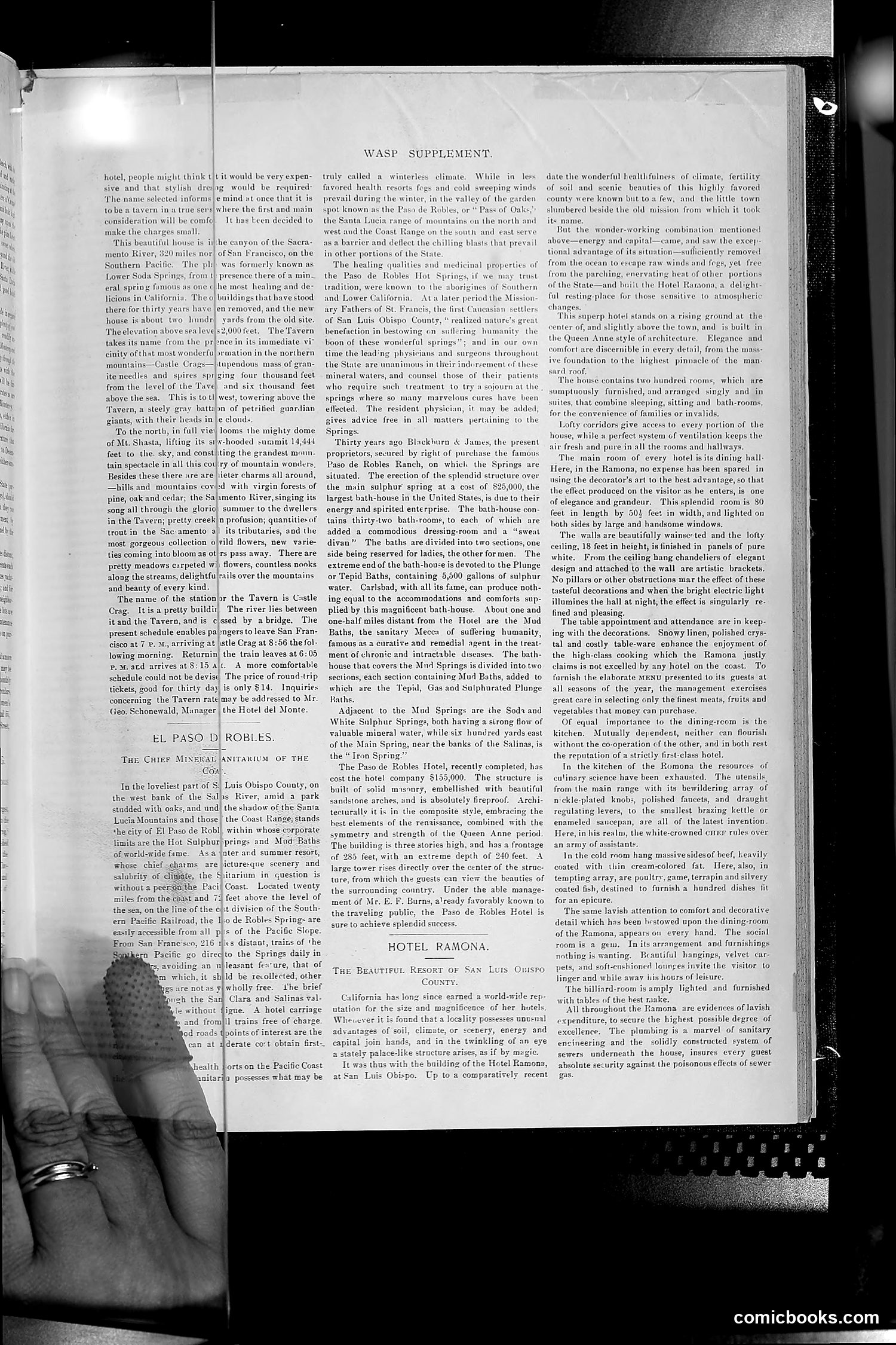 The Wasp — 1892 — page 434 of 542
