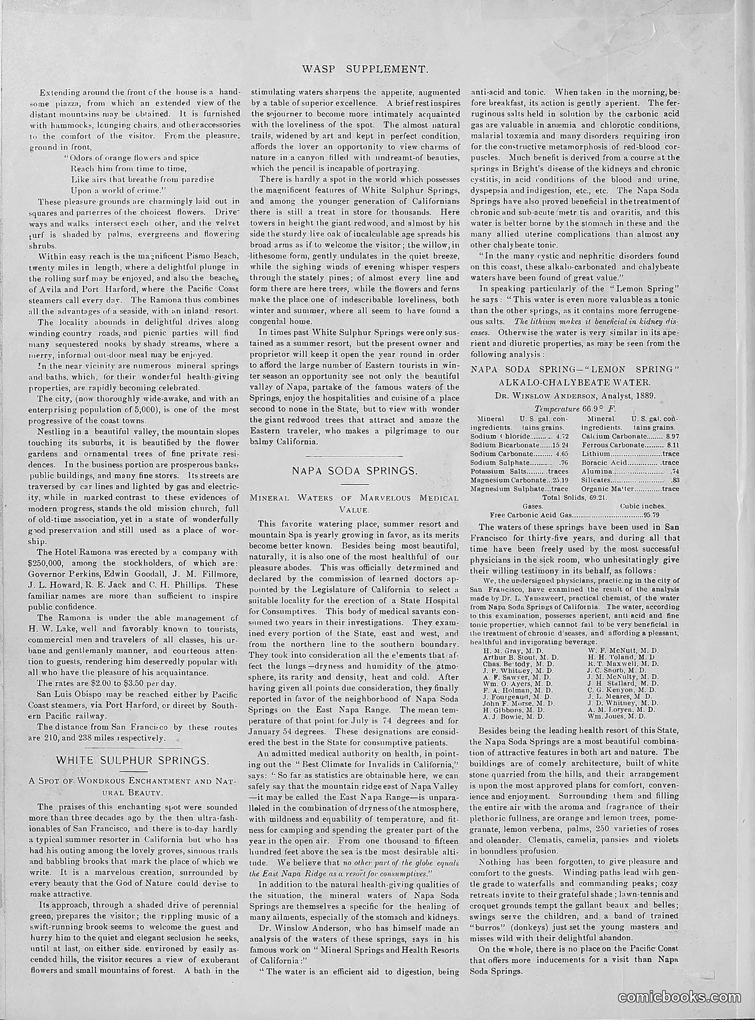 The Wasp — 1892 — page 435 of 542