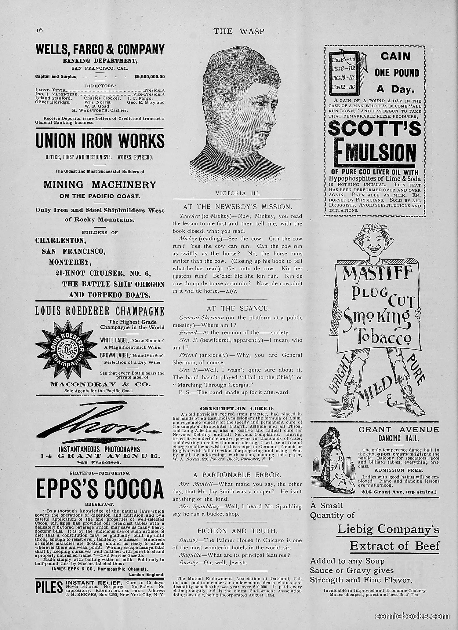The Wasp — 1892 — page 45 of 542