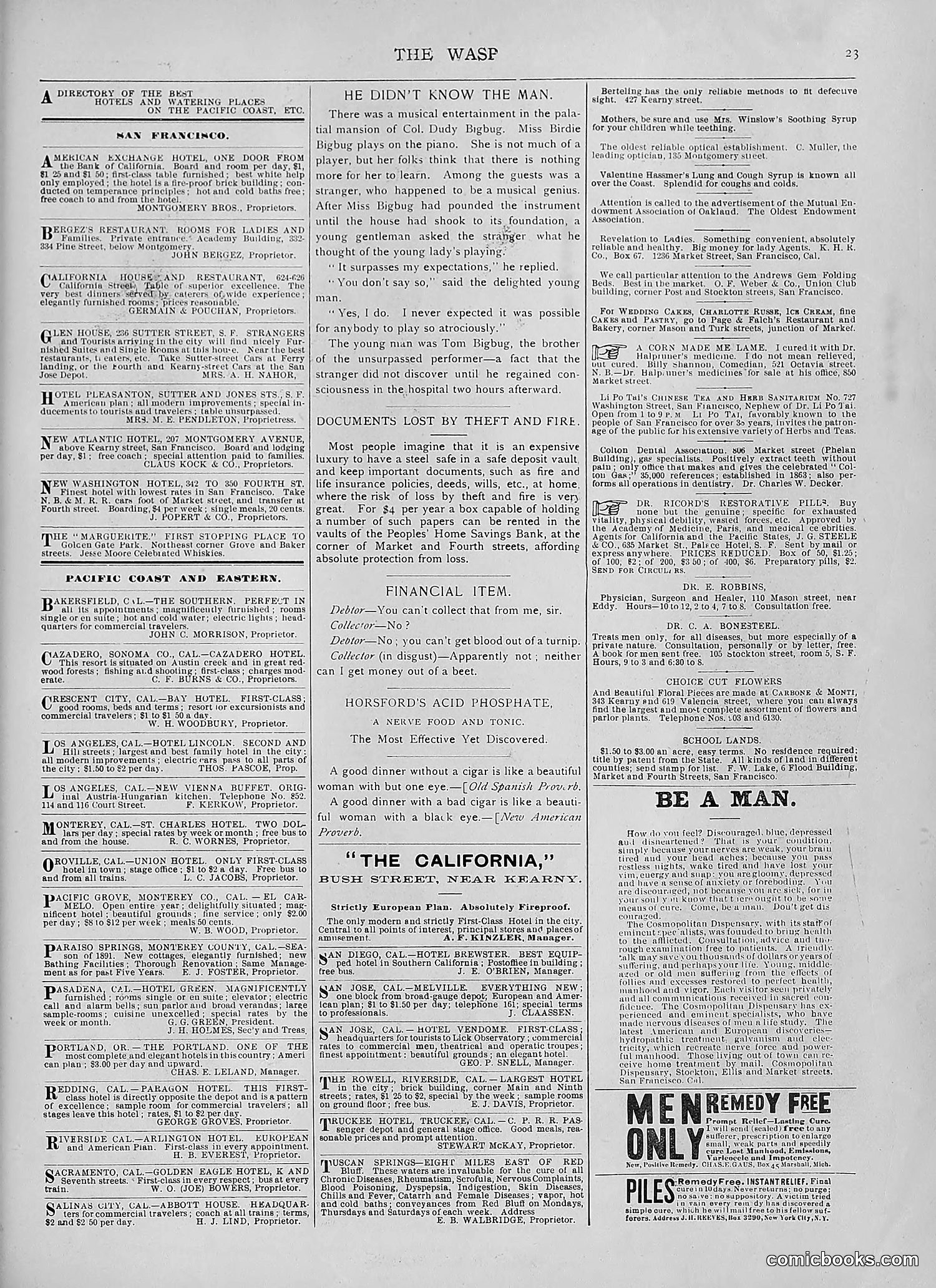 The Wasp — 1892 — page 446 of 542