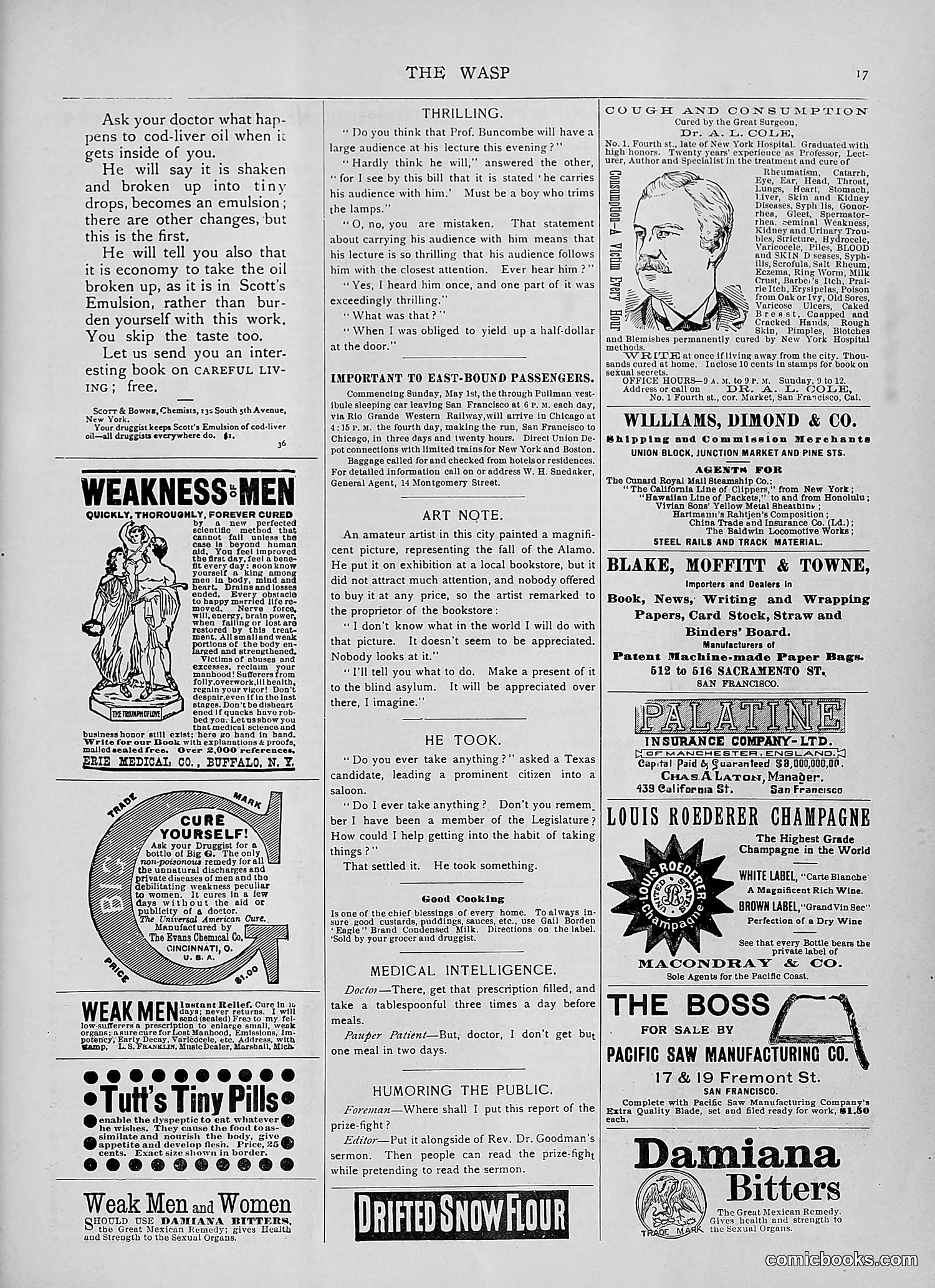 The Wasp — 1892 — page 464 of 542