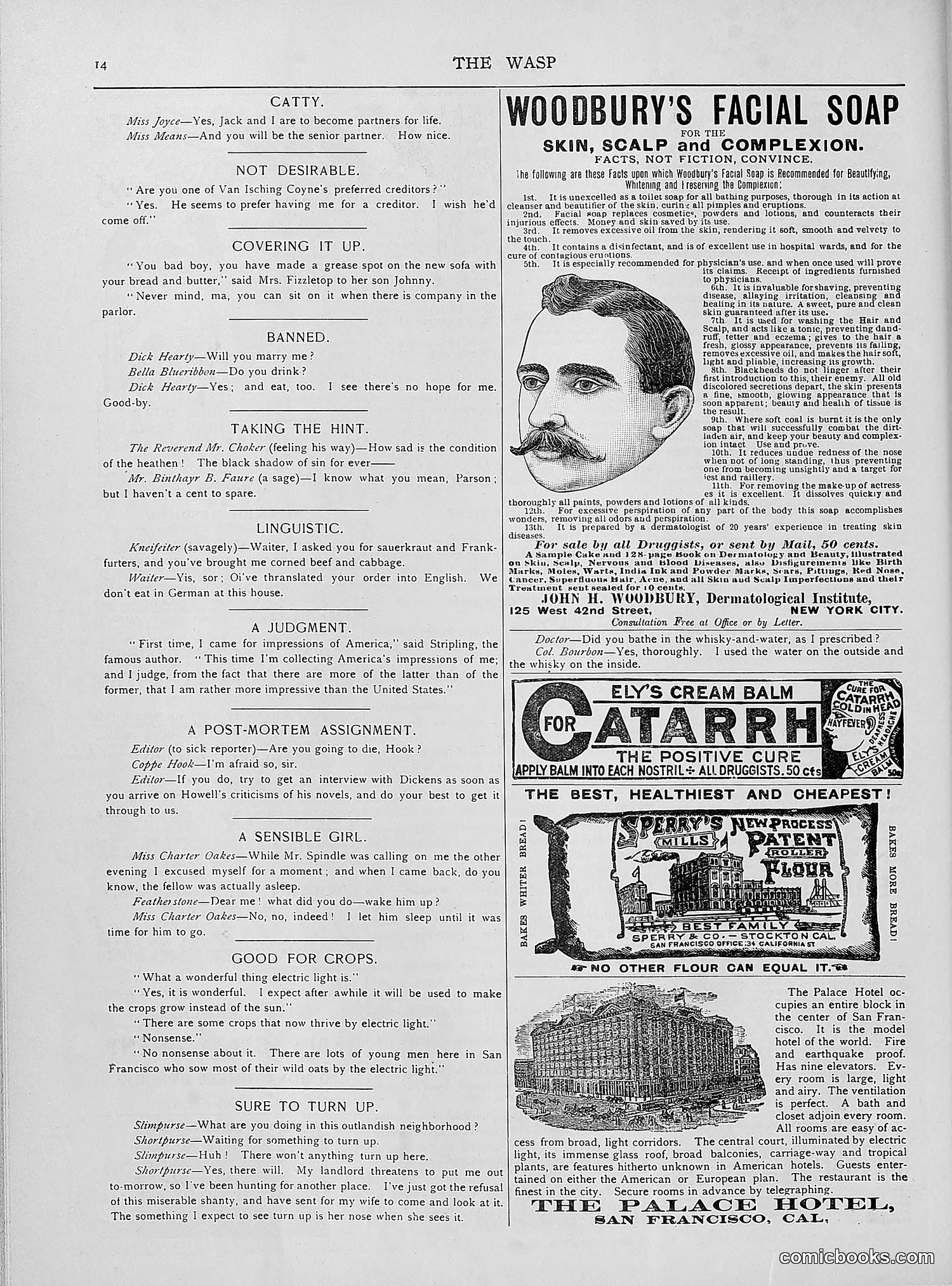 The Wasp — 1892 — page 481 of 542