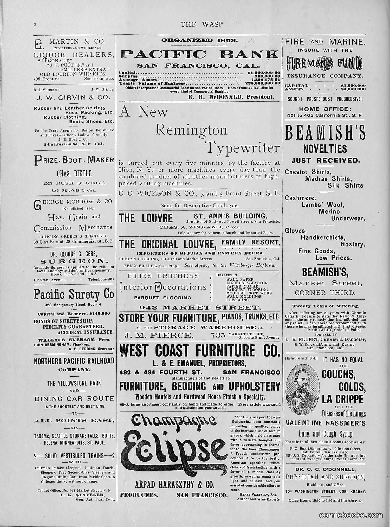 The Wasp — 1892 — page 489 of 542