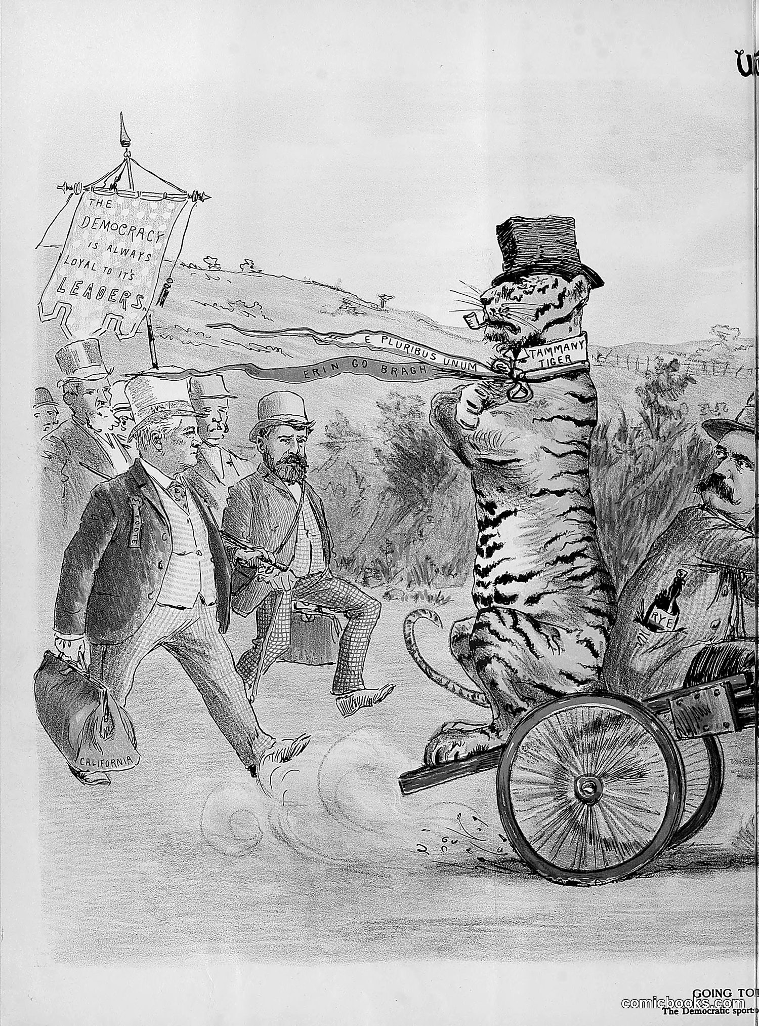The Wasp — 1892 — page 497 of 542