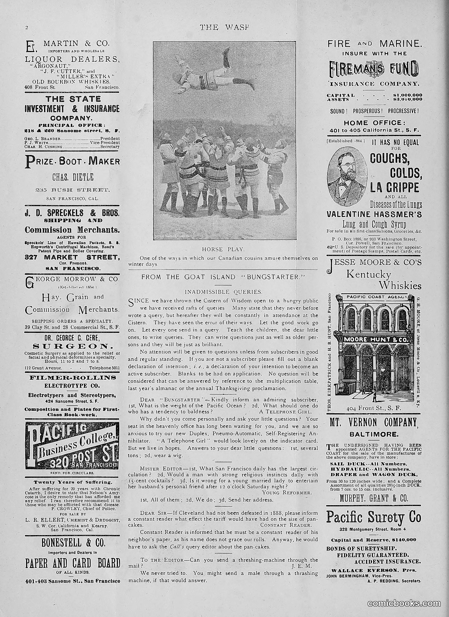 The Wasp — 1892 — page 51 of 542