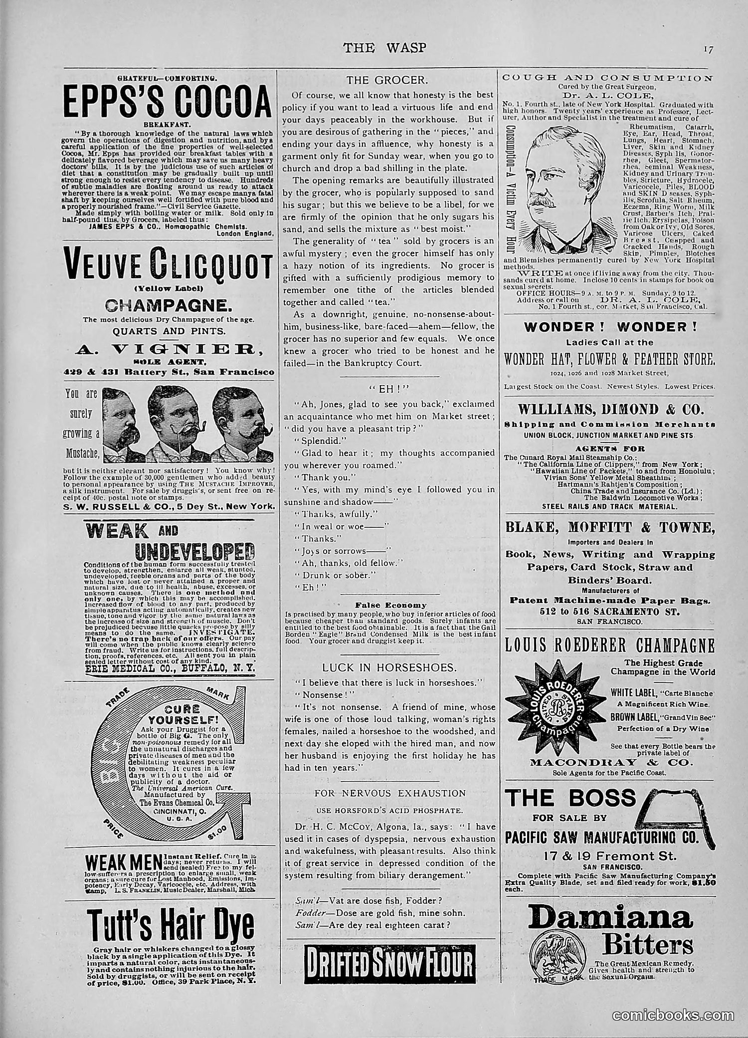 The Wasp — 1892 — page 504 of 542