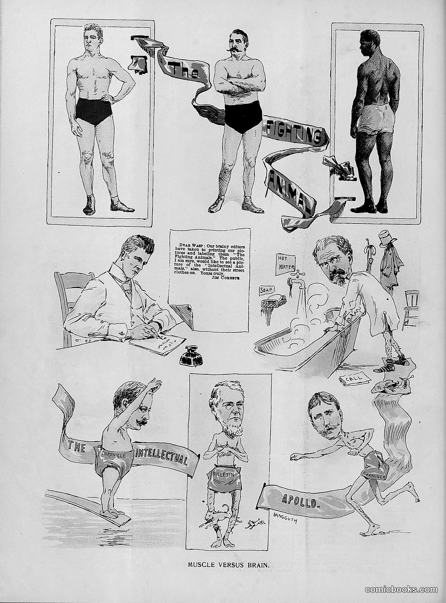 The Wasp — 1892 — page 507 of 542