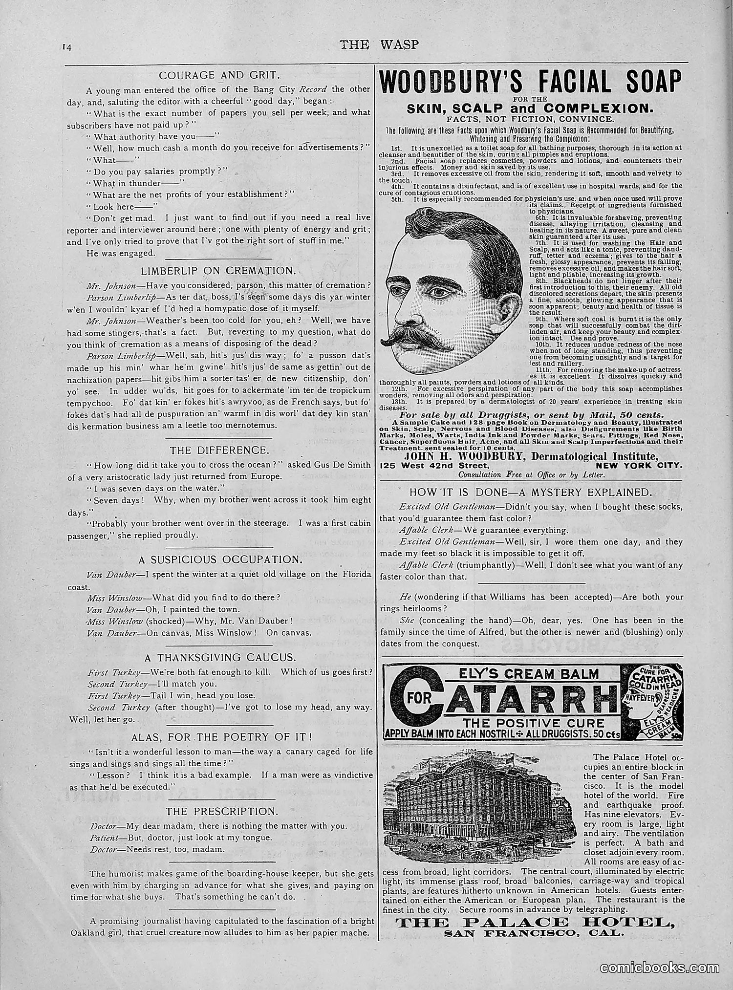 The Wasp — 1892 — page 521 of 542