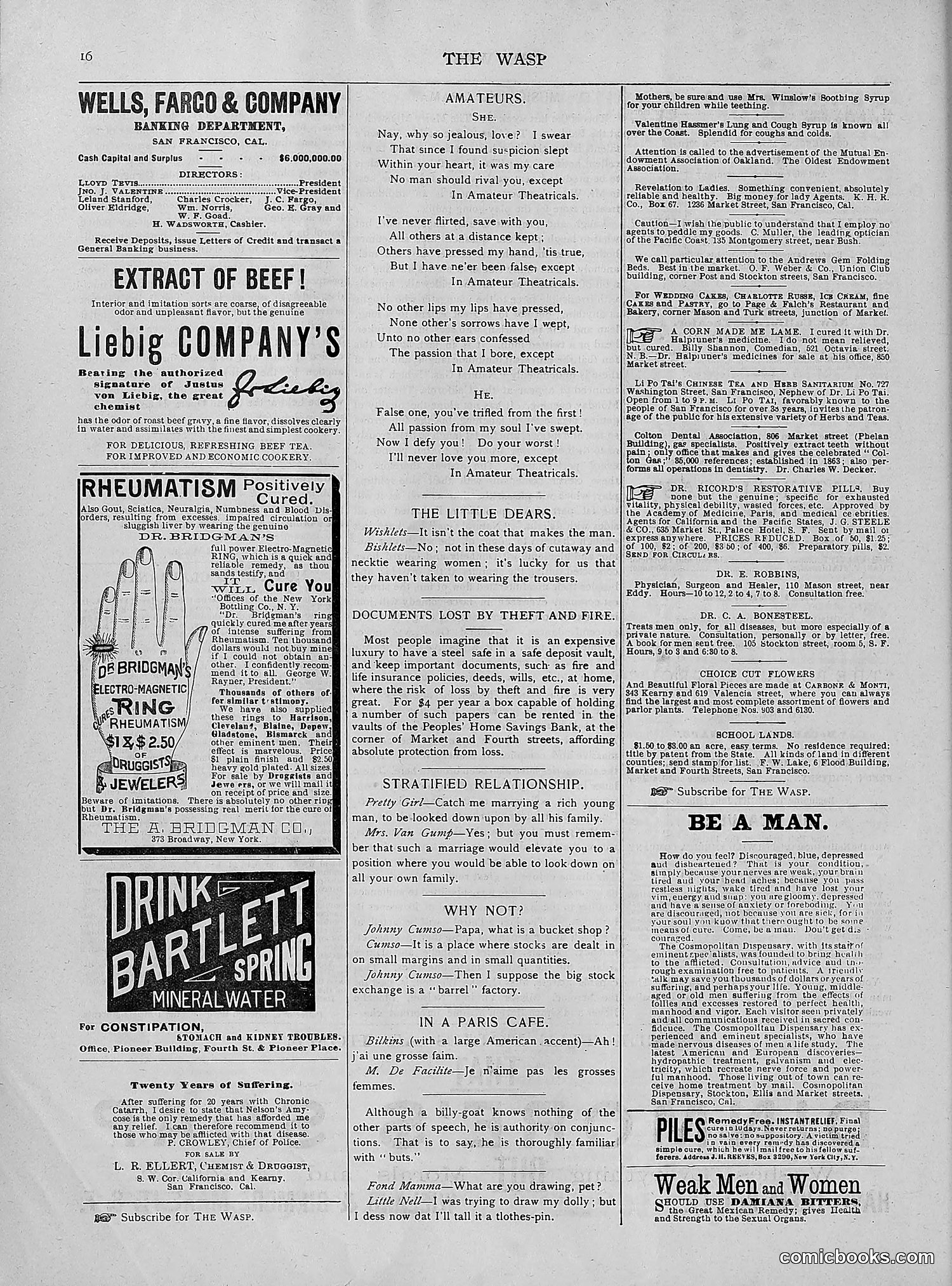 The Wasp — 1892 — page 523 of 542