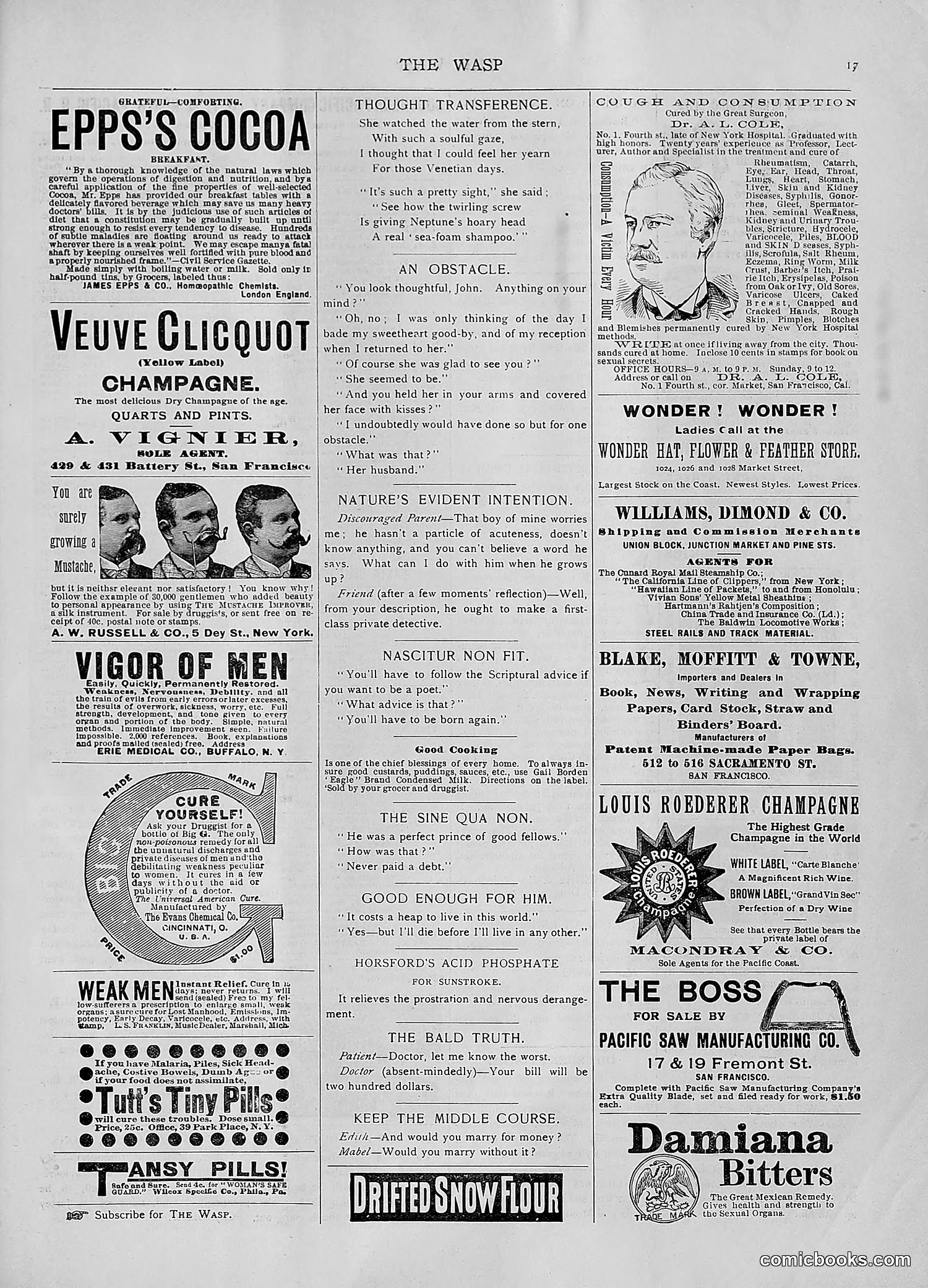 The Wasp — 1892 — page 524 of 542