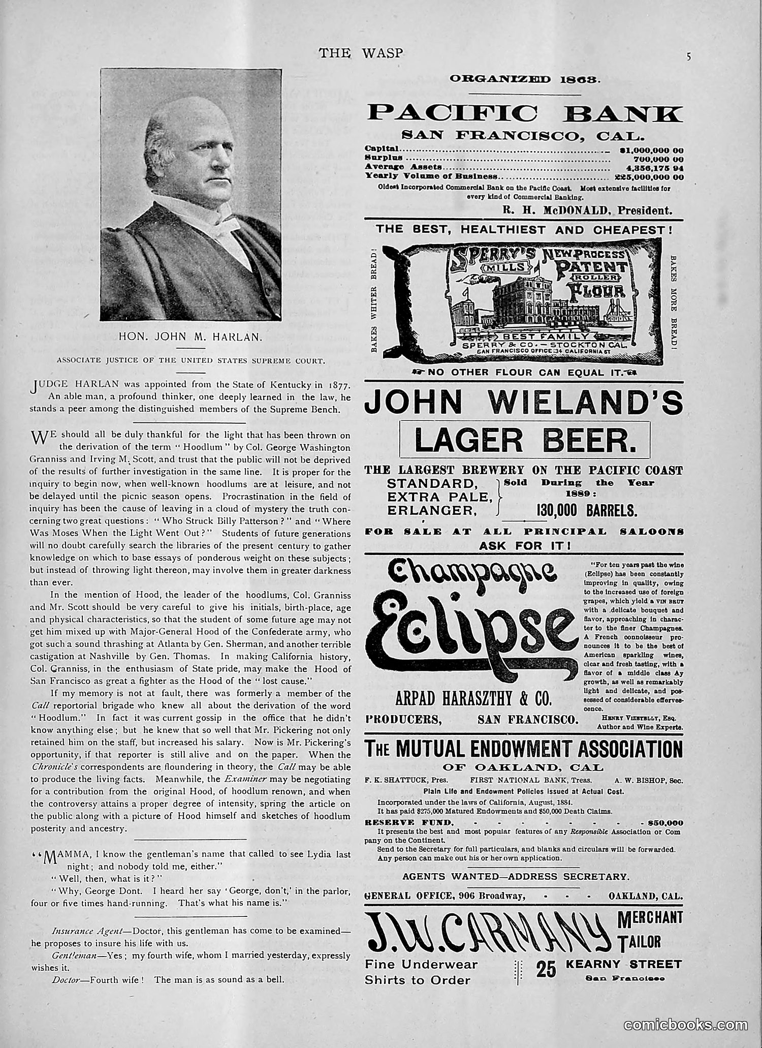 The Wasp — 1892 — page 54 of 542