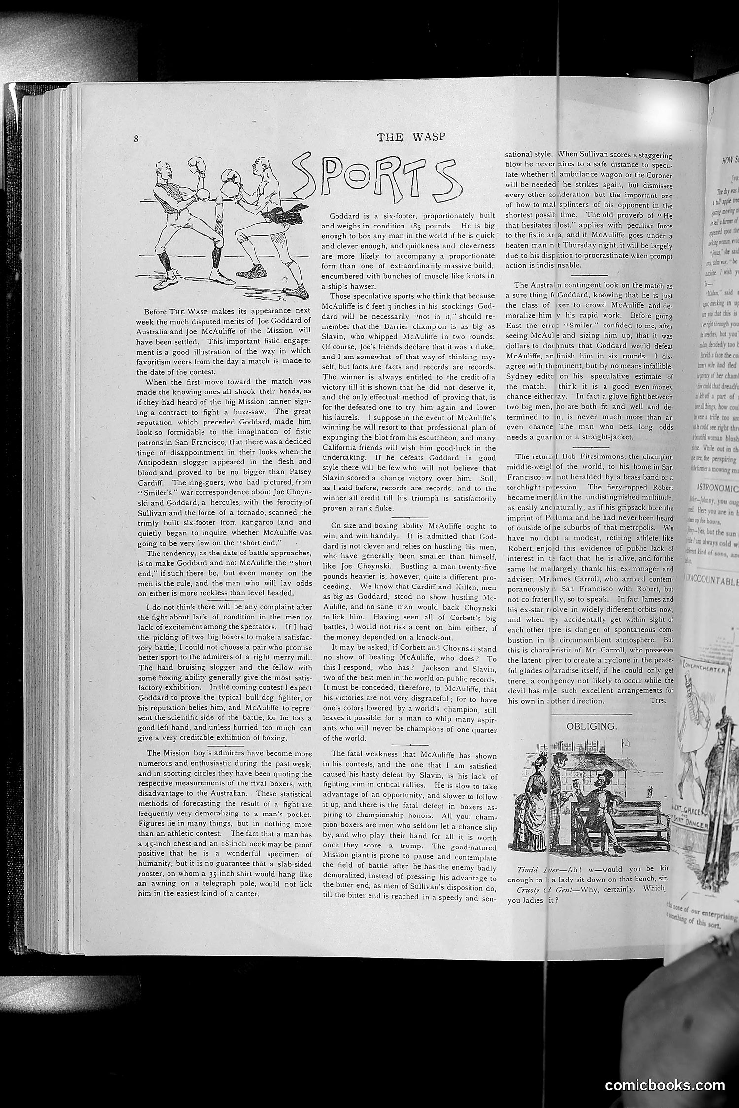 The Wasp — 1892 — page 537 of 542