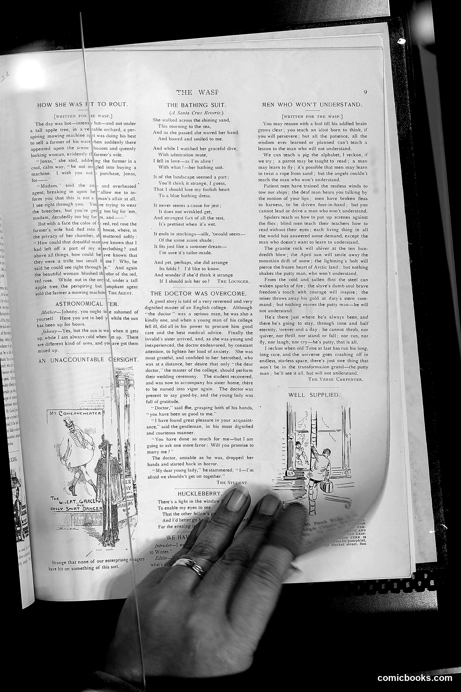 The Wasp — 1892 — page 538 of 542