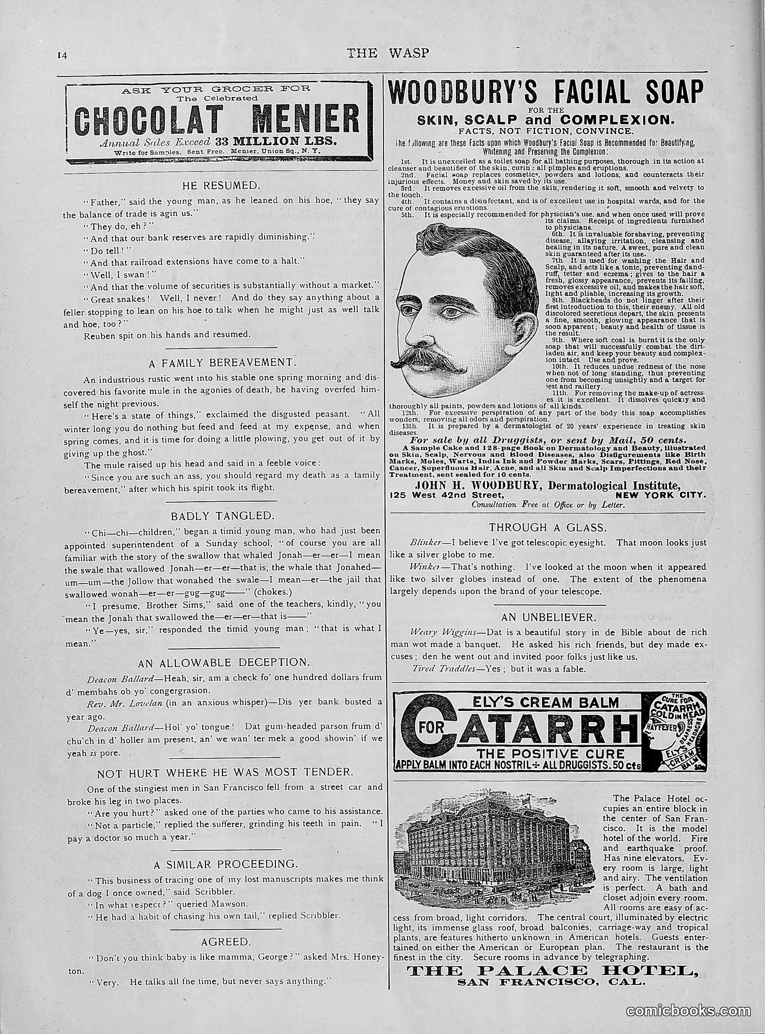 The Wasp — 1892 — page 543 of 542