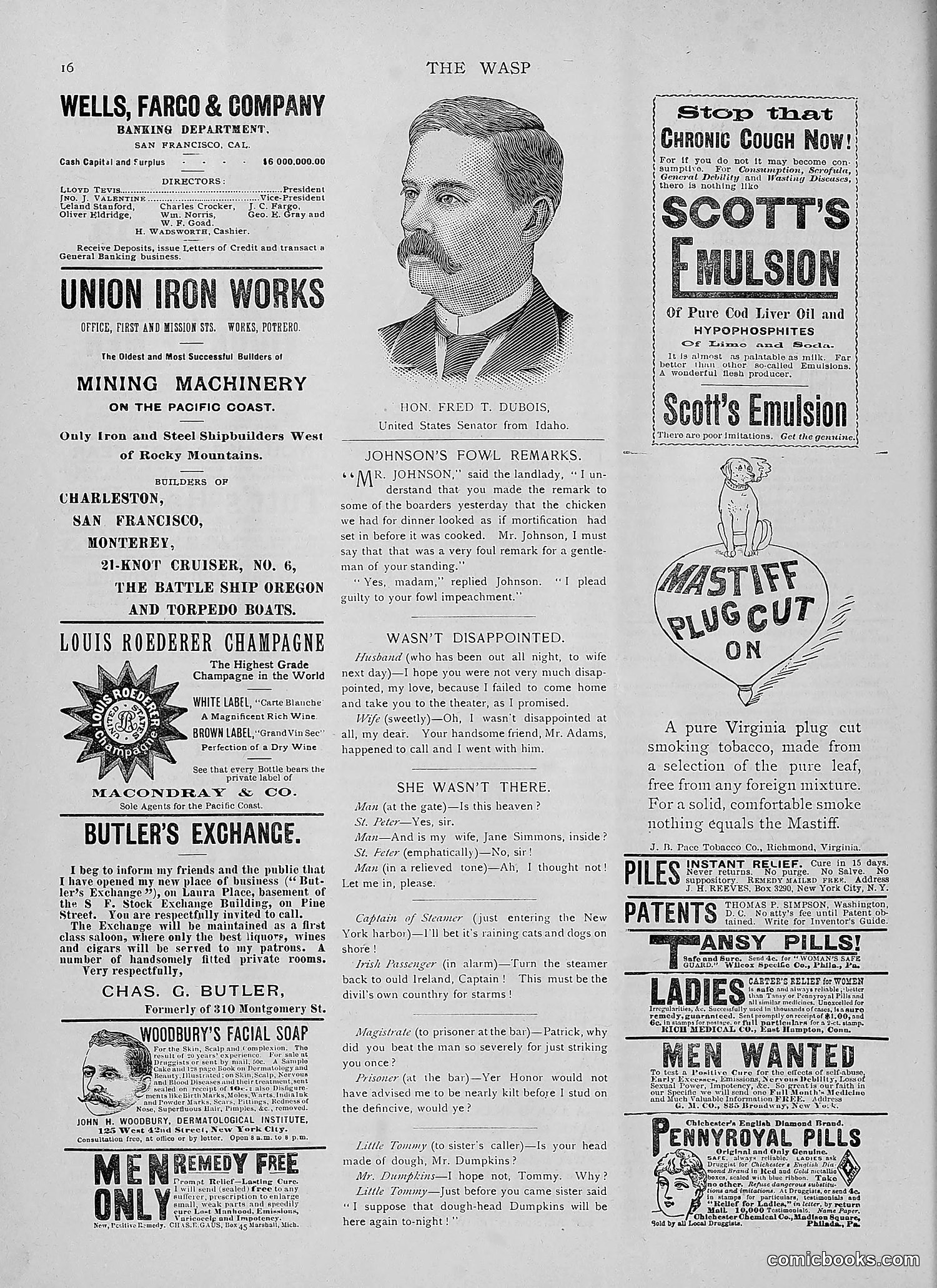 The Wasp — 1892 — page 65 of 542