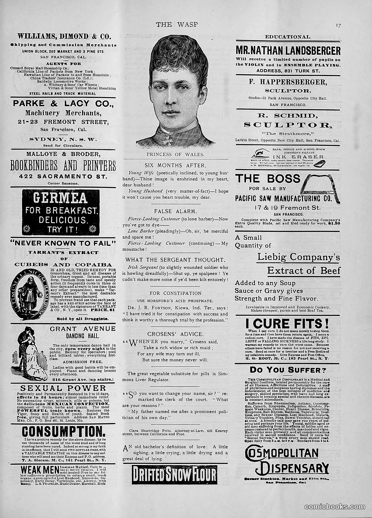 The Wasp — 1892 — page 66 of 542