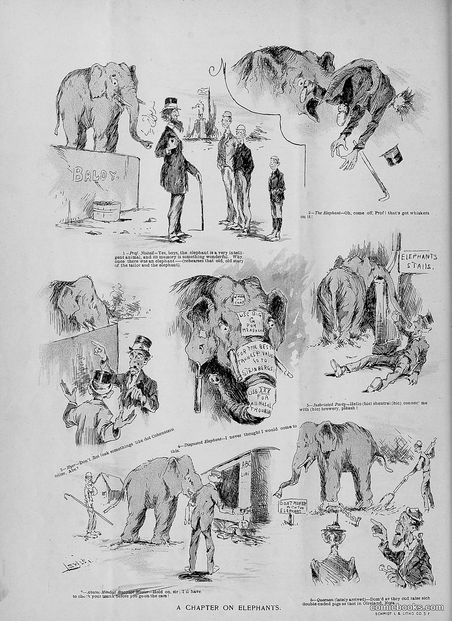 The Wasp — 1892 — page 69 of 542