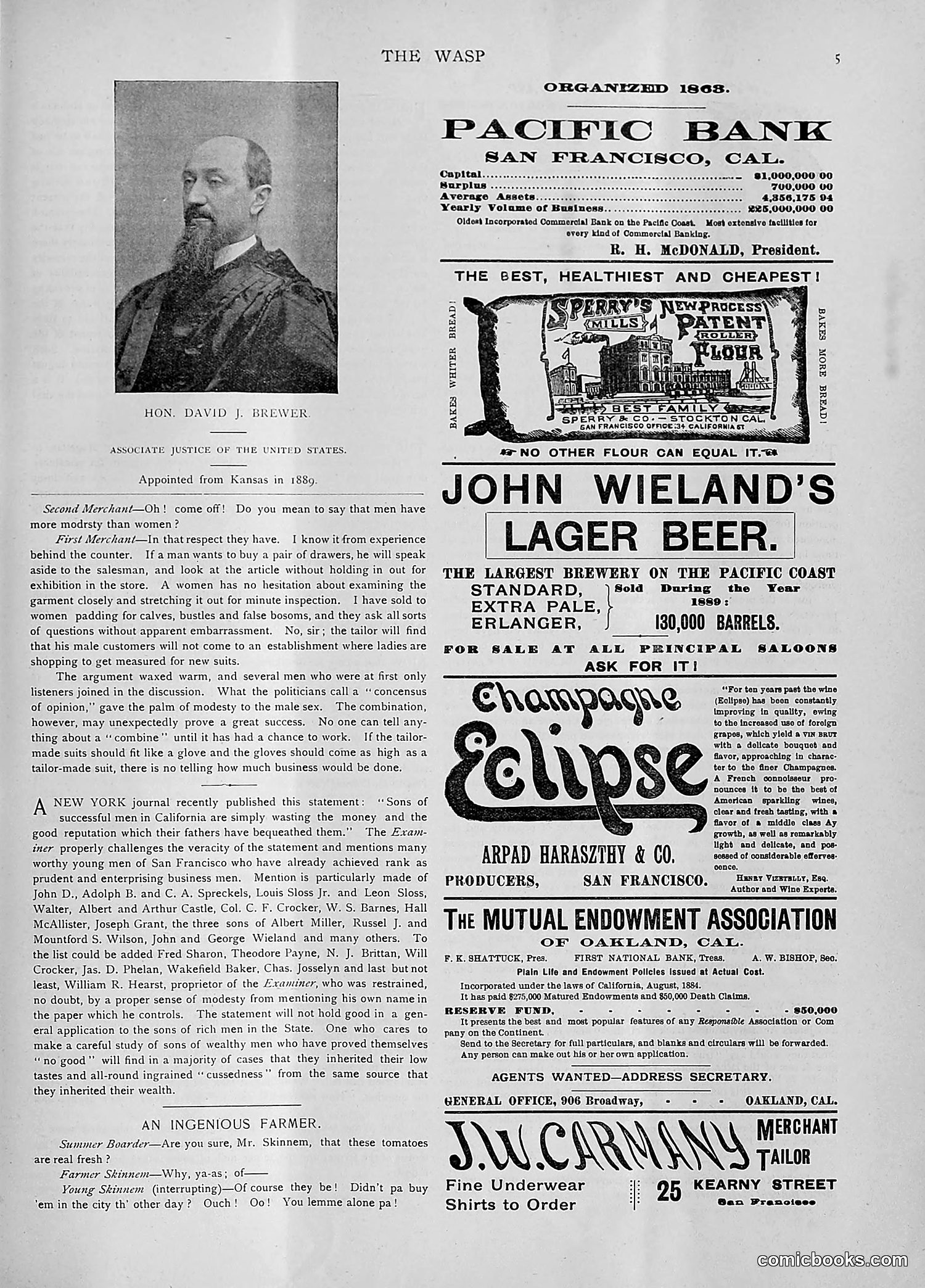 The Wasp — 1892 — page 74 of 542