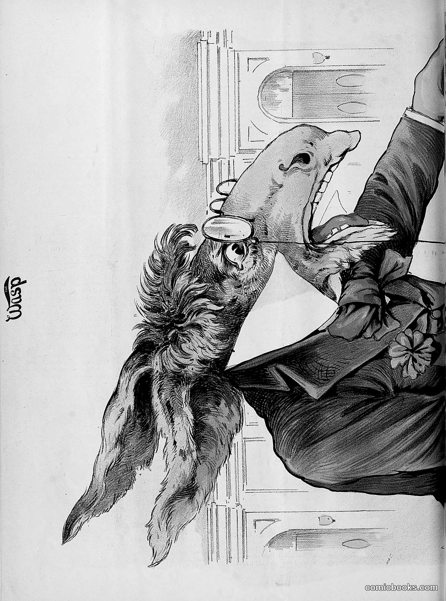 The Wasp — 1892 — page 79 of 542