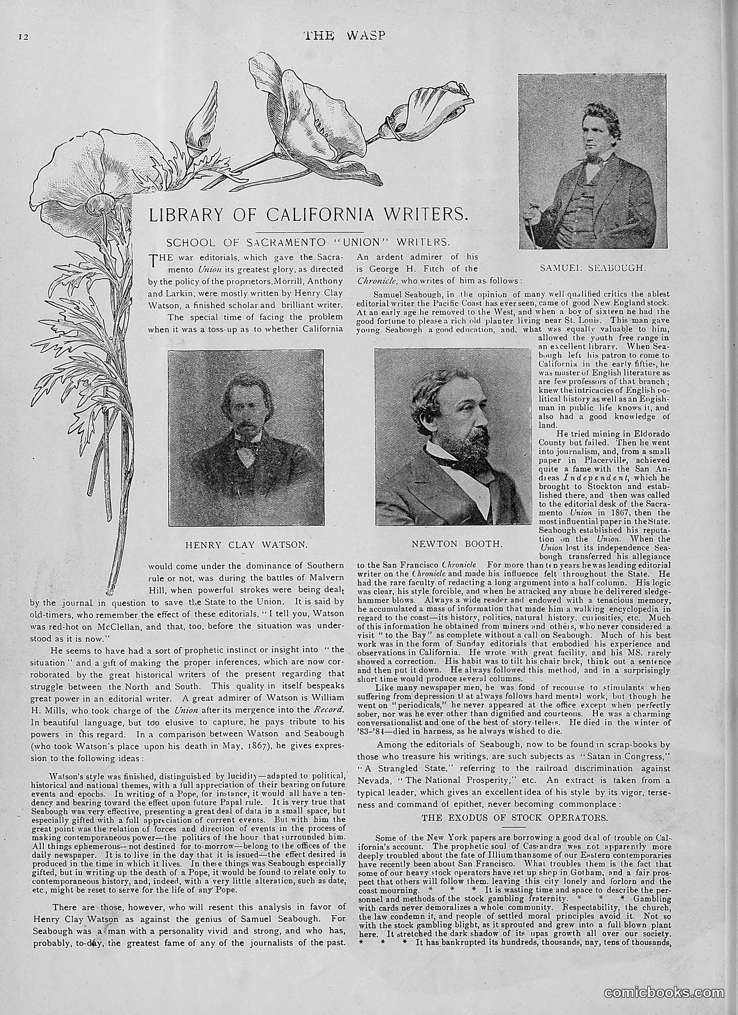 The Wasp — 1892 — page 81 of 542