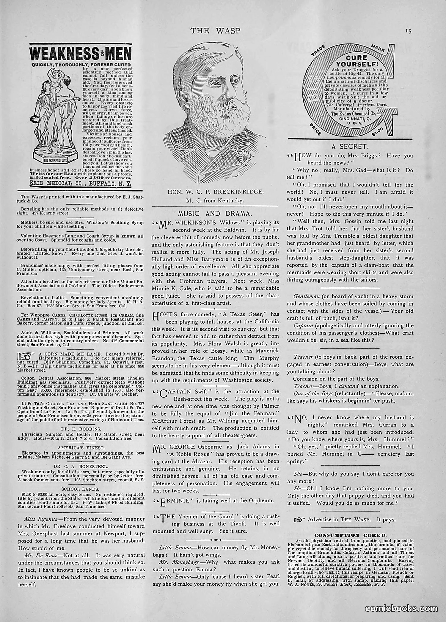 The Wasp — 1892 — page 84 of 542