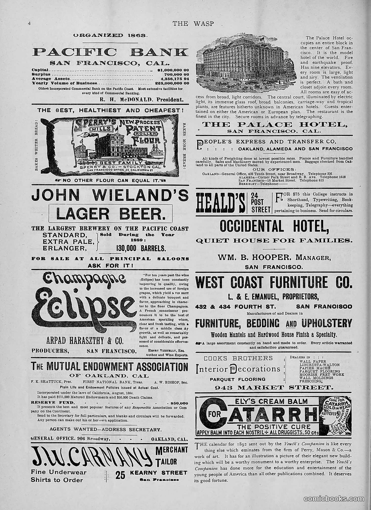 The Wasp — 1892 — page 93 of 542
