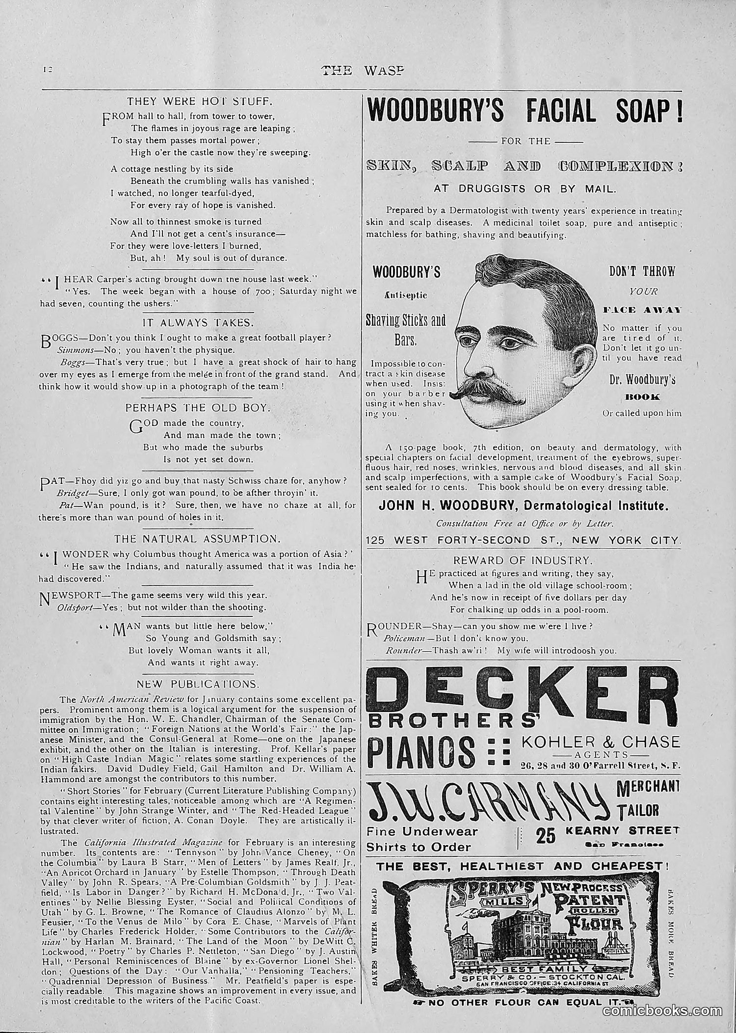 The Wasp — 1893 — page 101 of 514