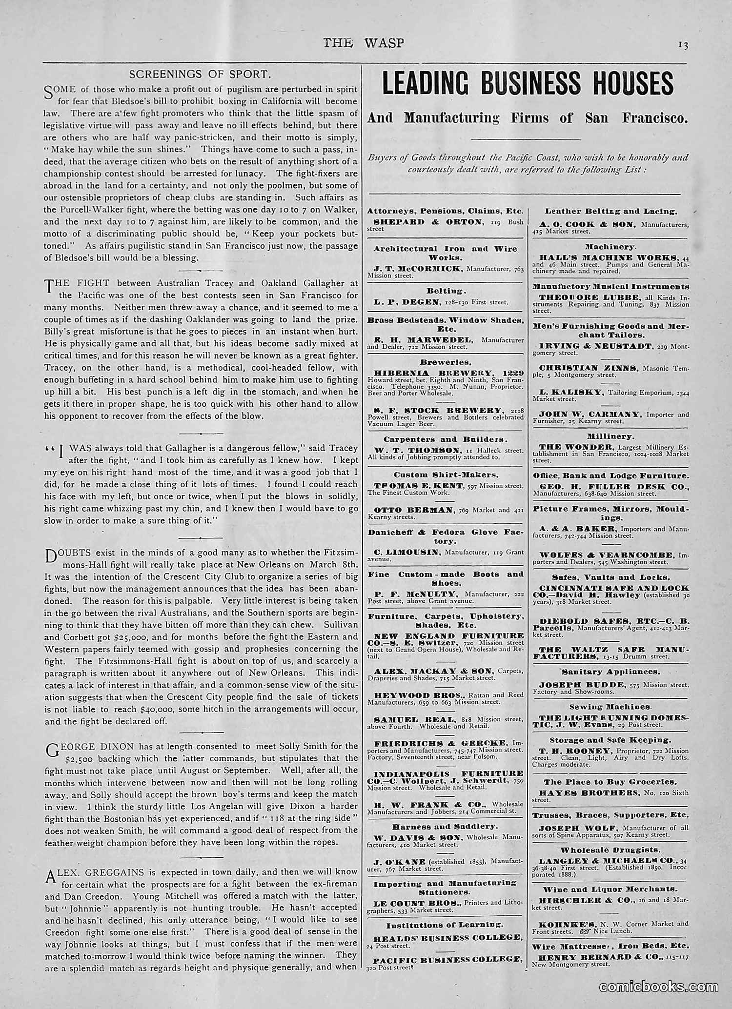 The Wasp — 1893 — page 102 of 514