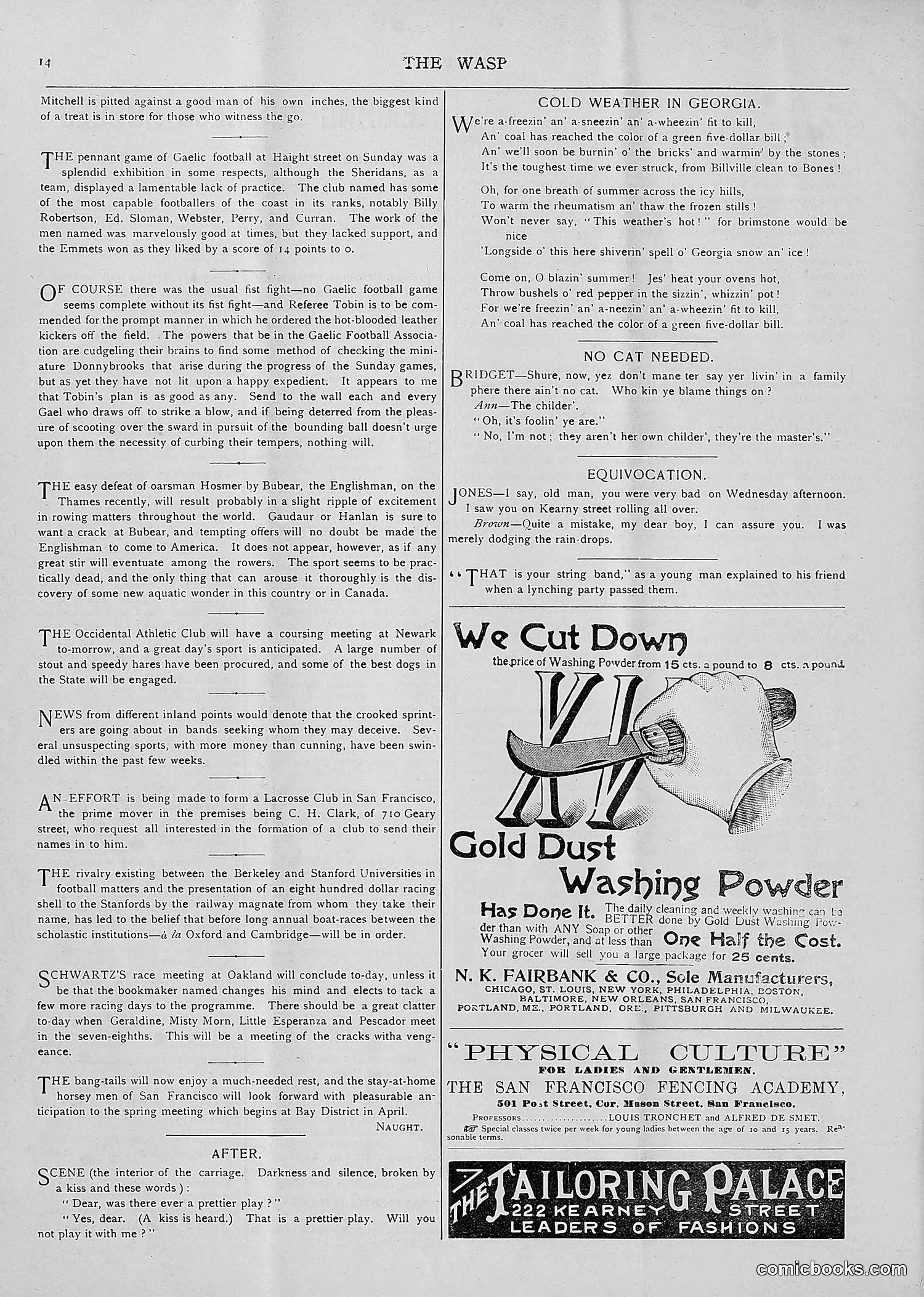 The Wasp — 1893 — page 103 of 514
