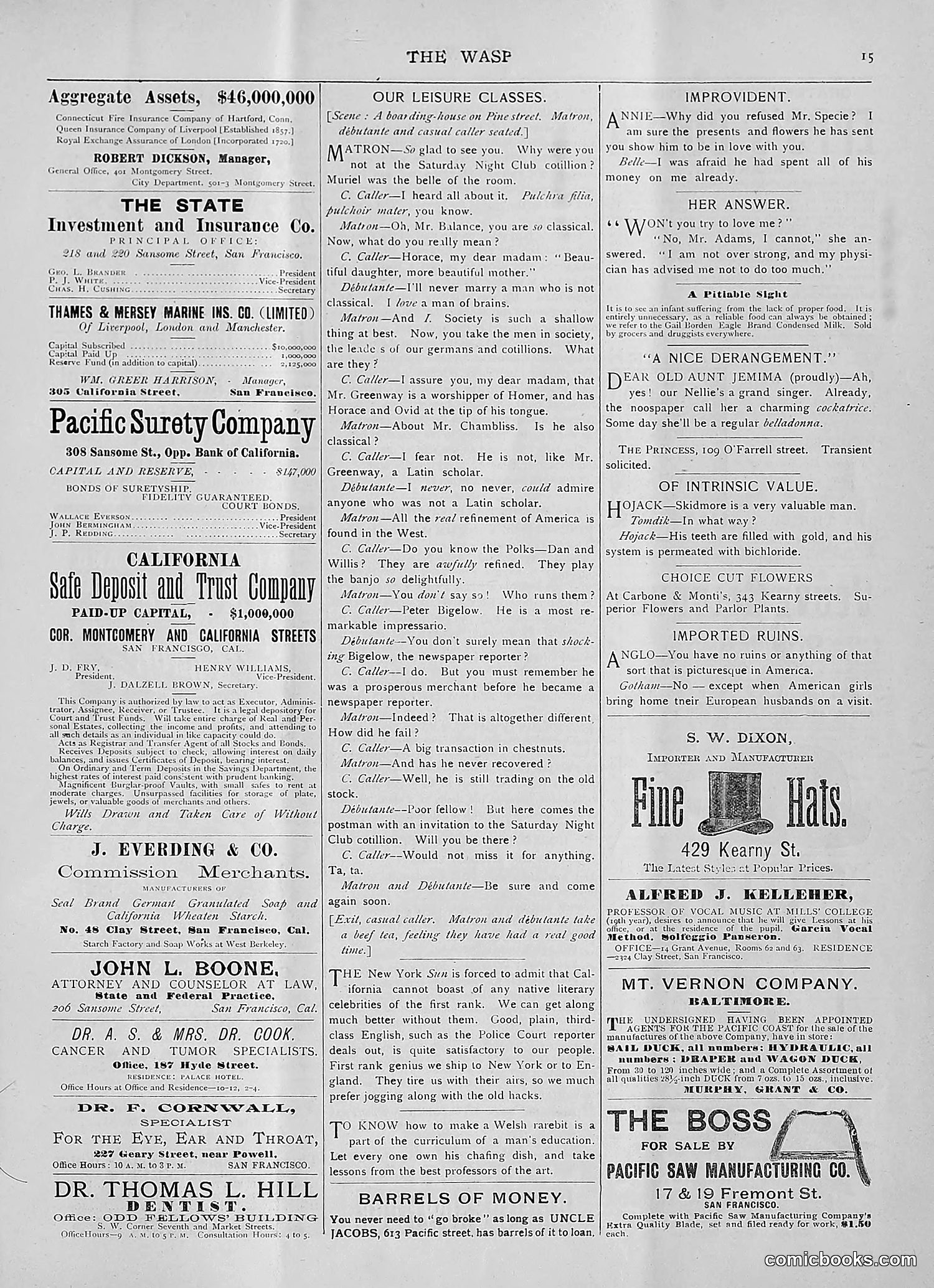 The Wasp — 1893 — page 104 of 514