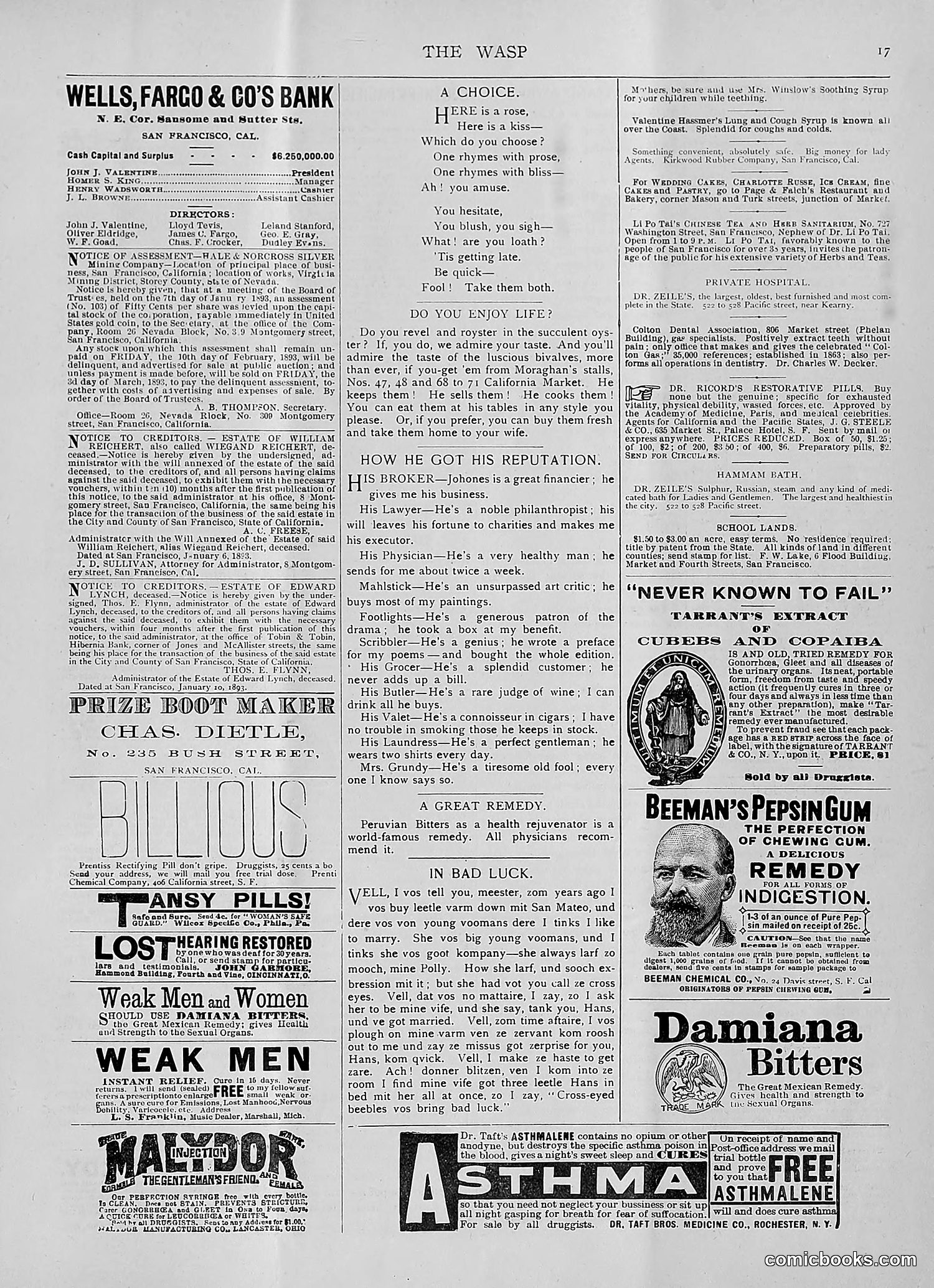The Wasp — 1893 — page 106 of 514