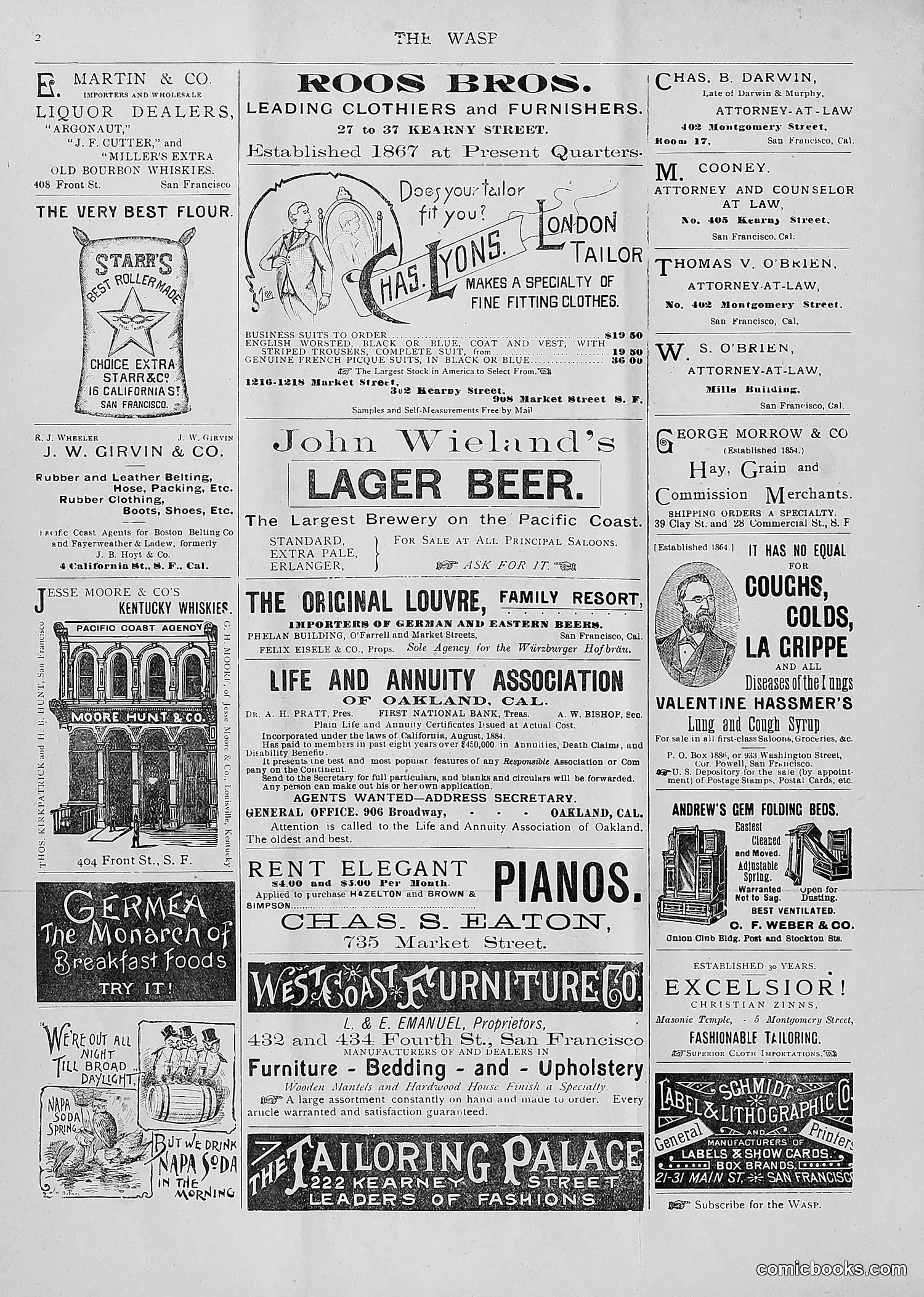 The Wasp — 1893 — page 111 of 514