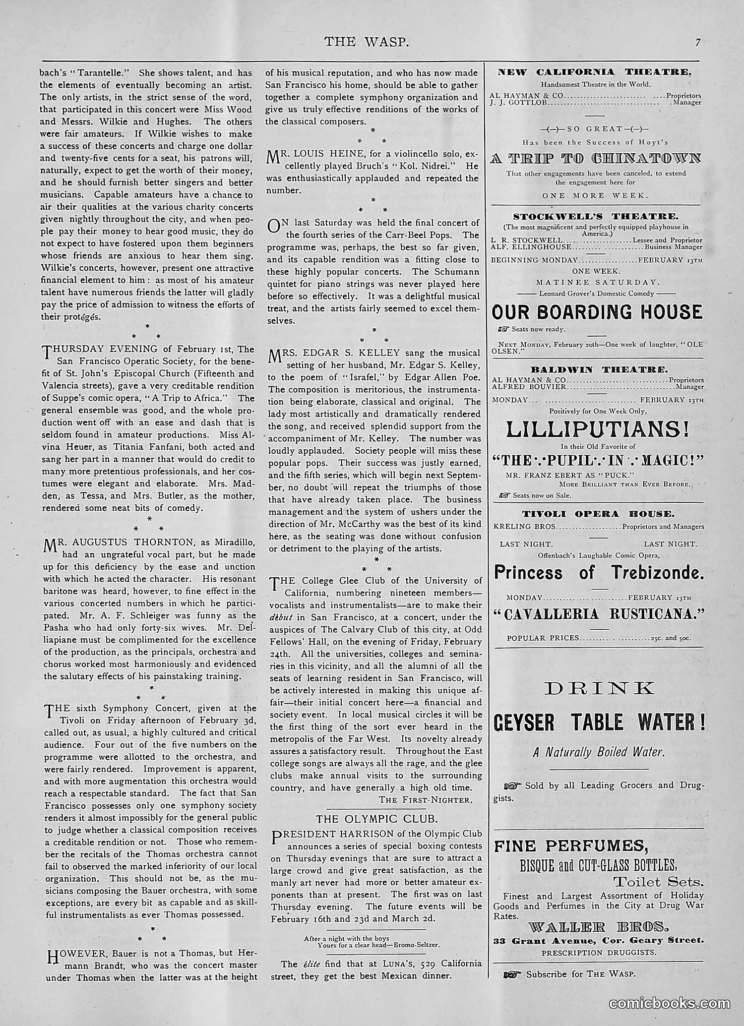 The Wasp — 1893 — page 116 of 514