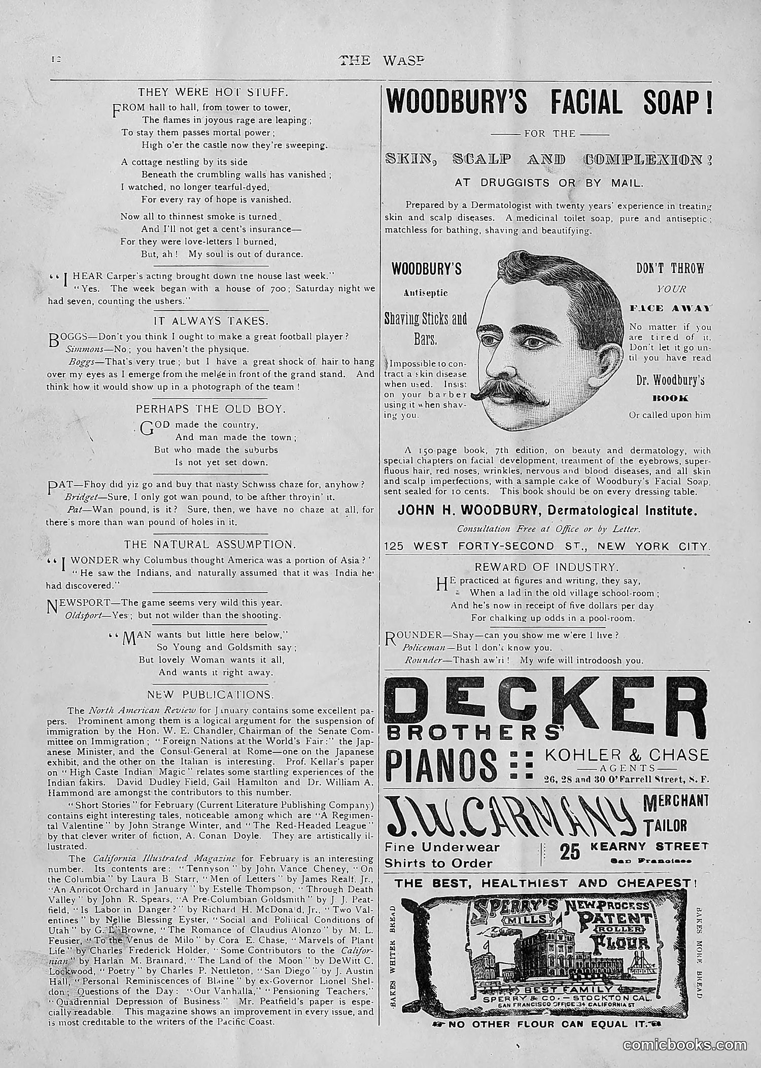 The Wasp — 1893 — page 121 of 514