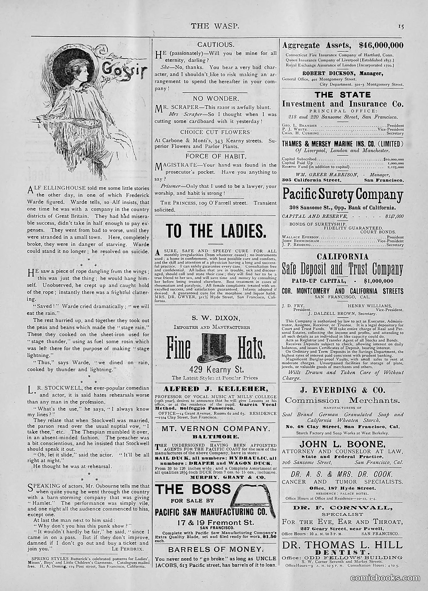 The Wasp — 1893 — page 124 of 514