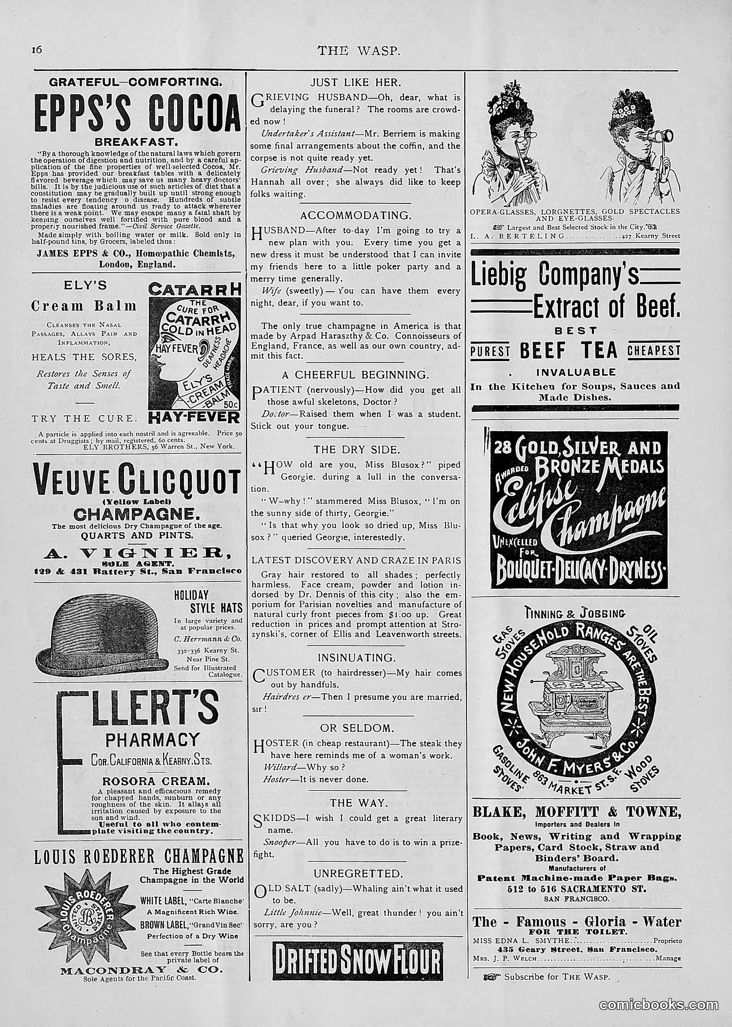 The Wasp — 1893 — page 125 of 514