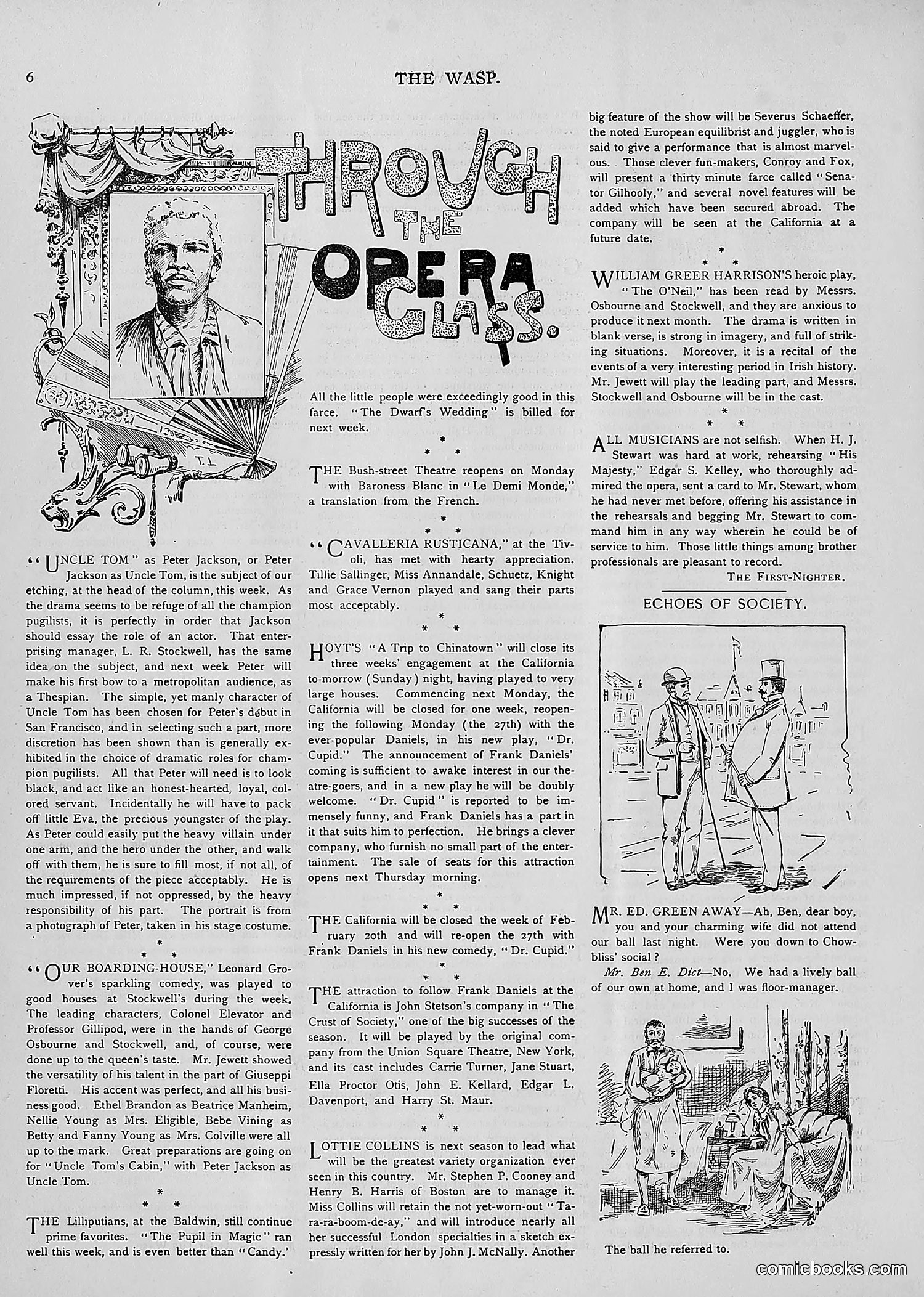 The Wasp — 1893 — page 135 of 514