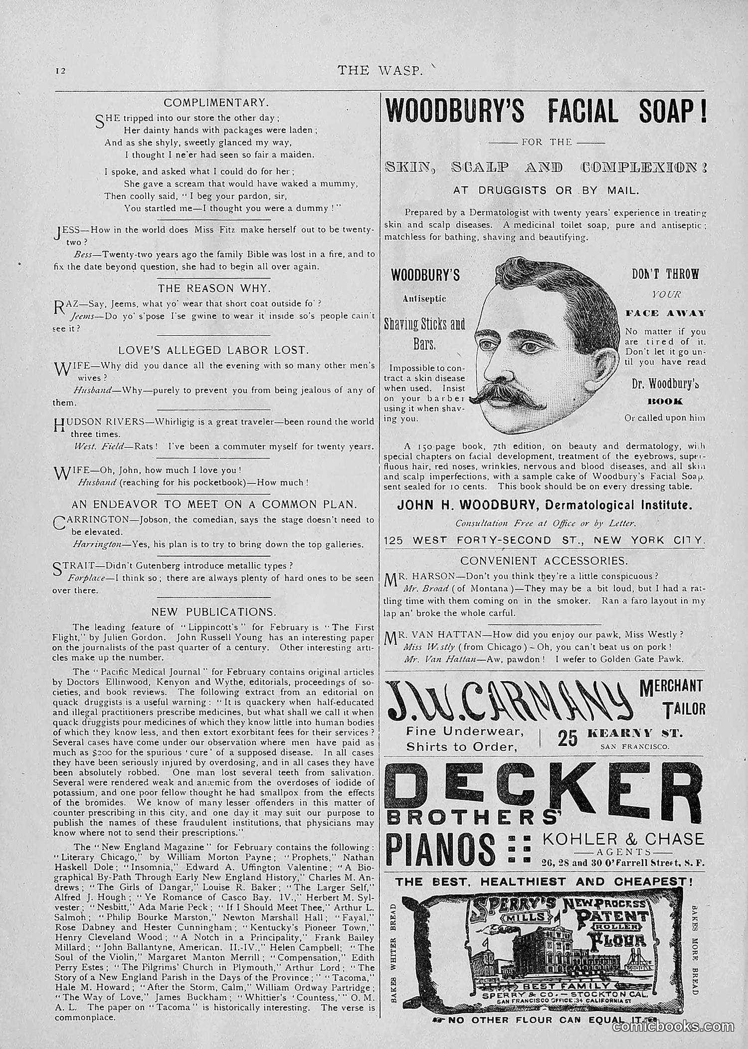 The Wasp — 1893 — page 141 of 514