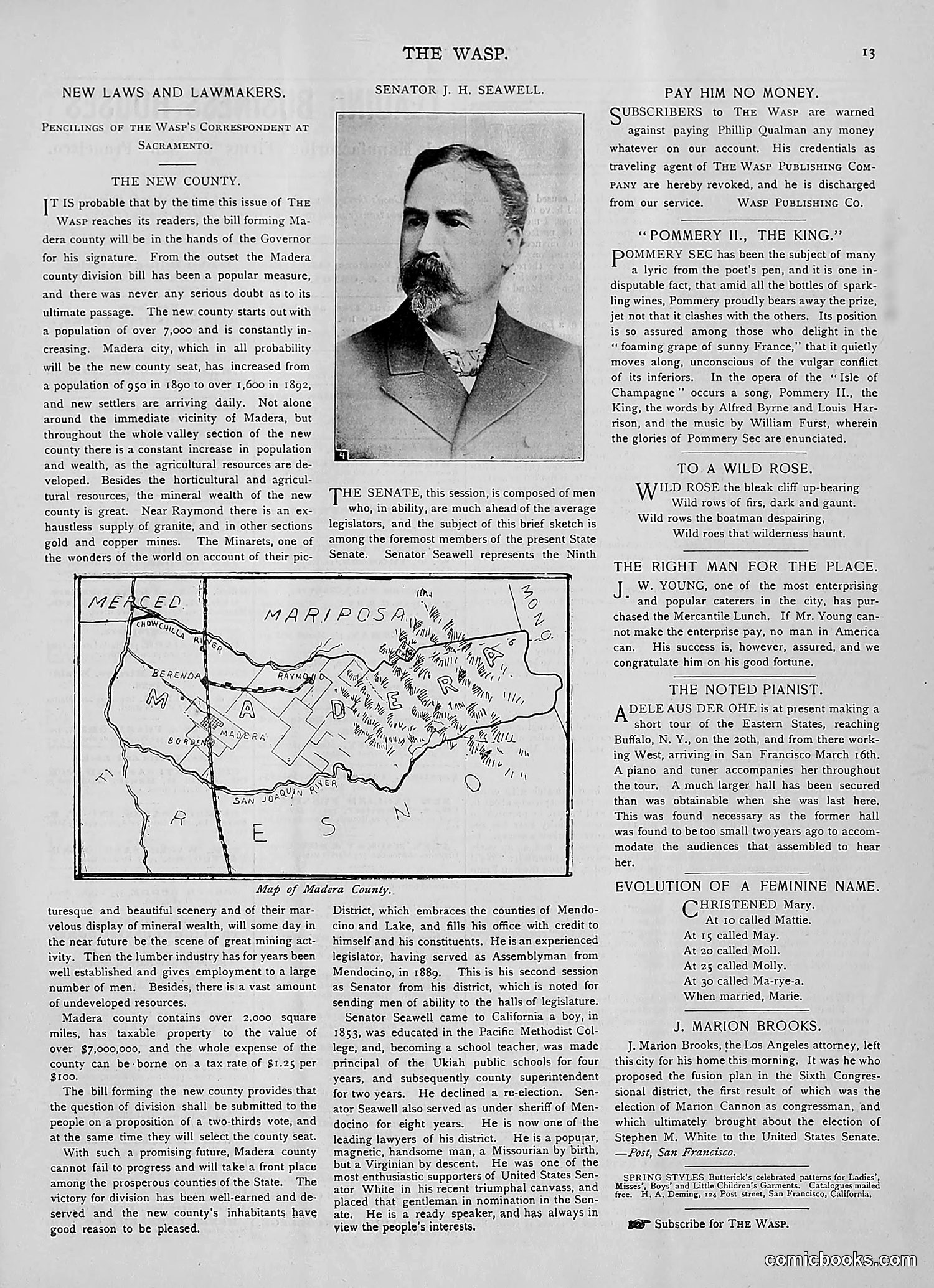 The Wasp — 1893 — page 142 of 514