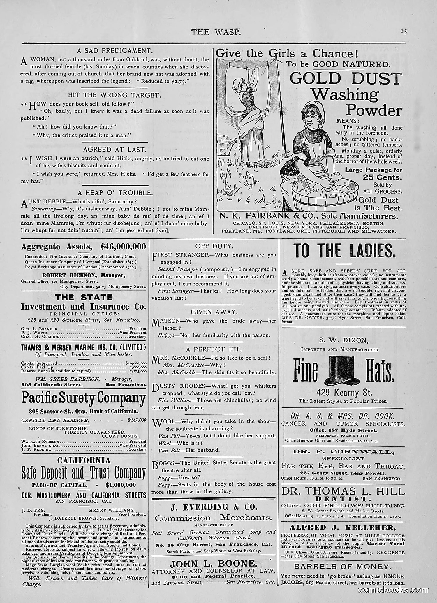 The Wasp — 1893 — page 144 of 514