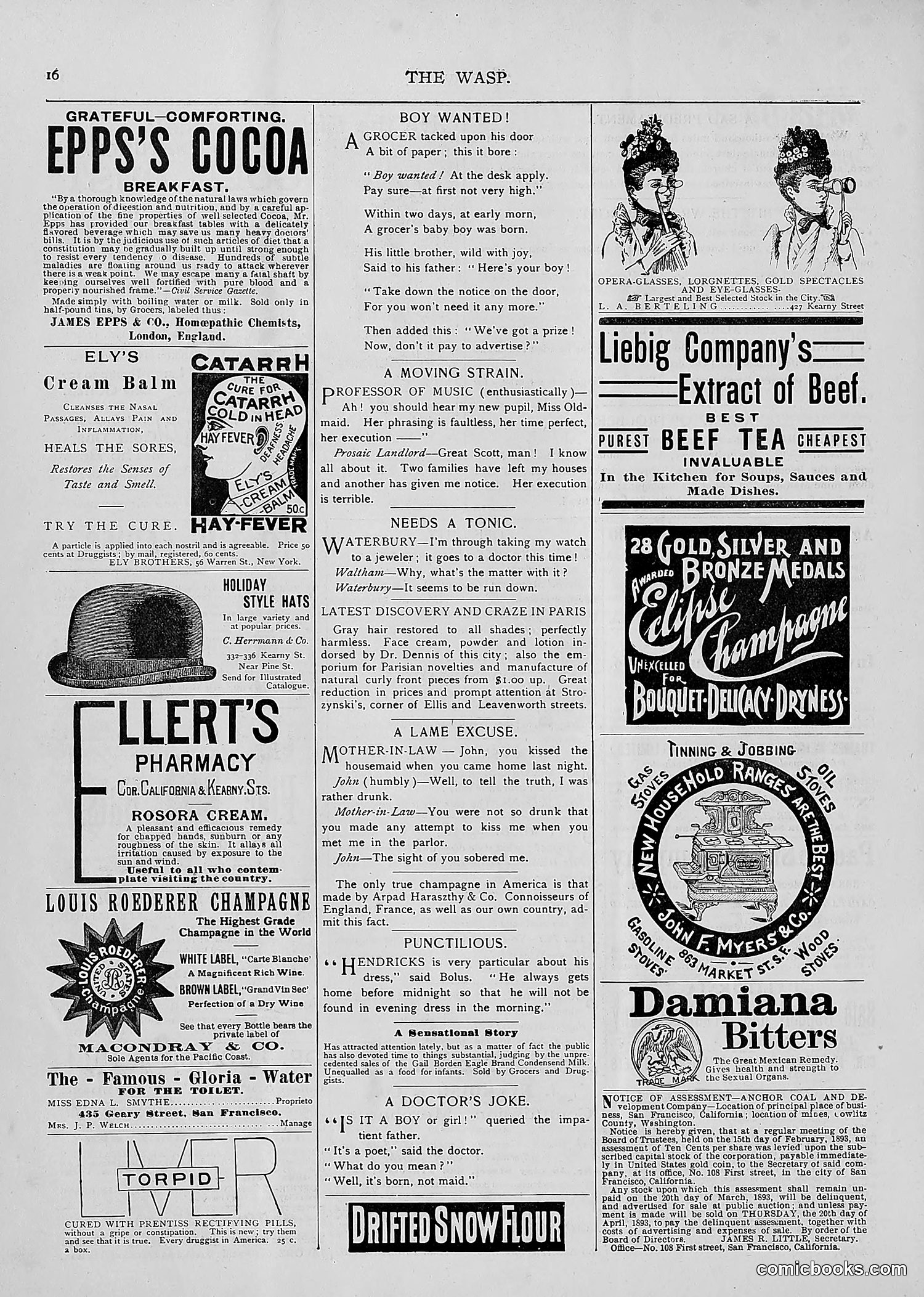 The Wasp — 1893 — page 145 of 514