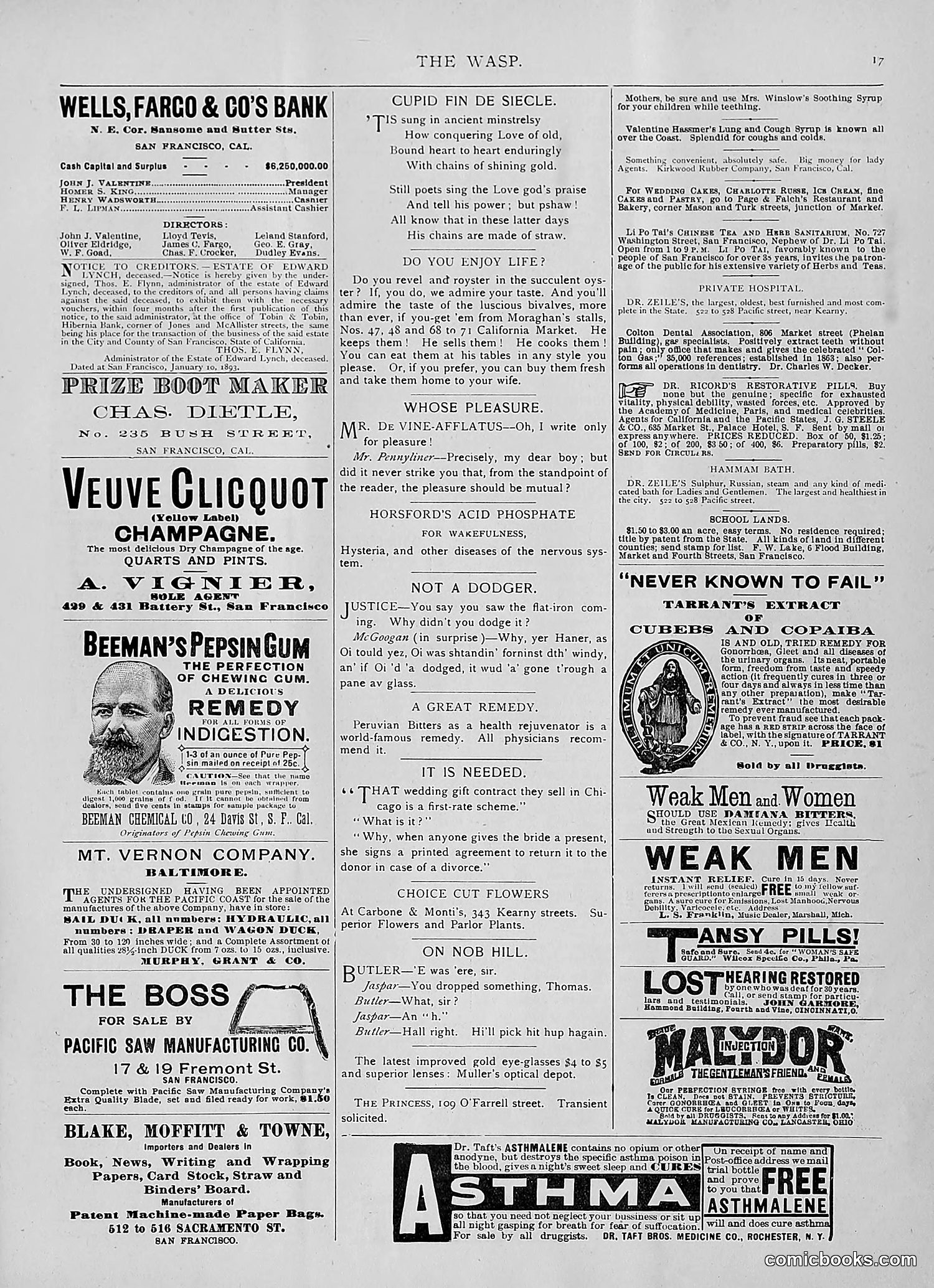 The Wasp — 1893 — page 146 of 514